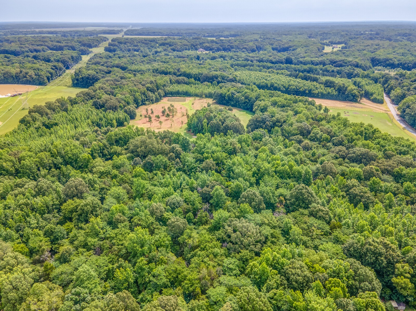 1225 Fields Dr Property Photo 17