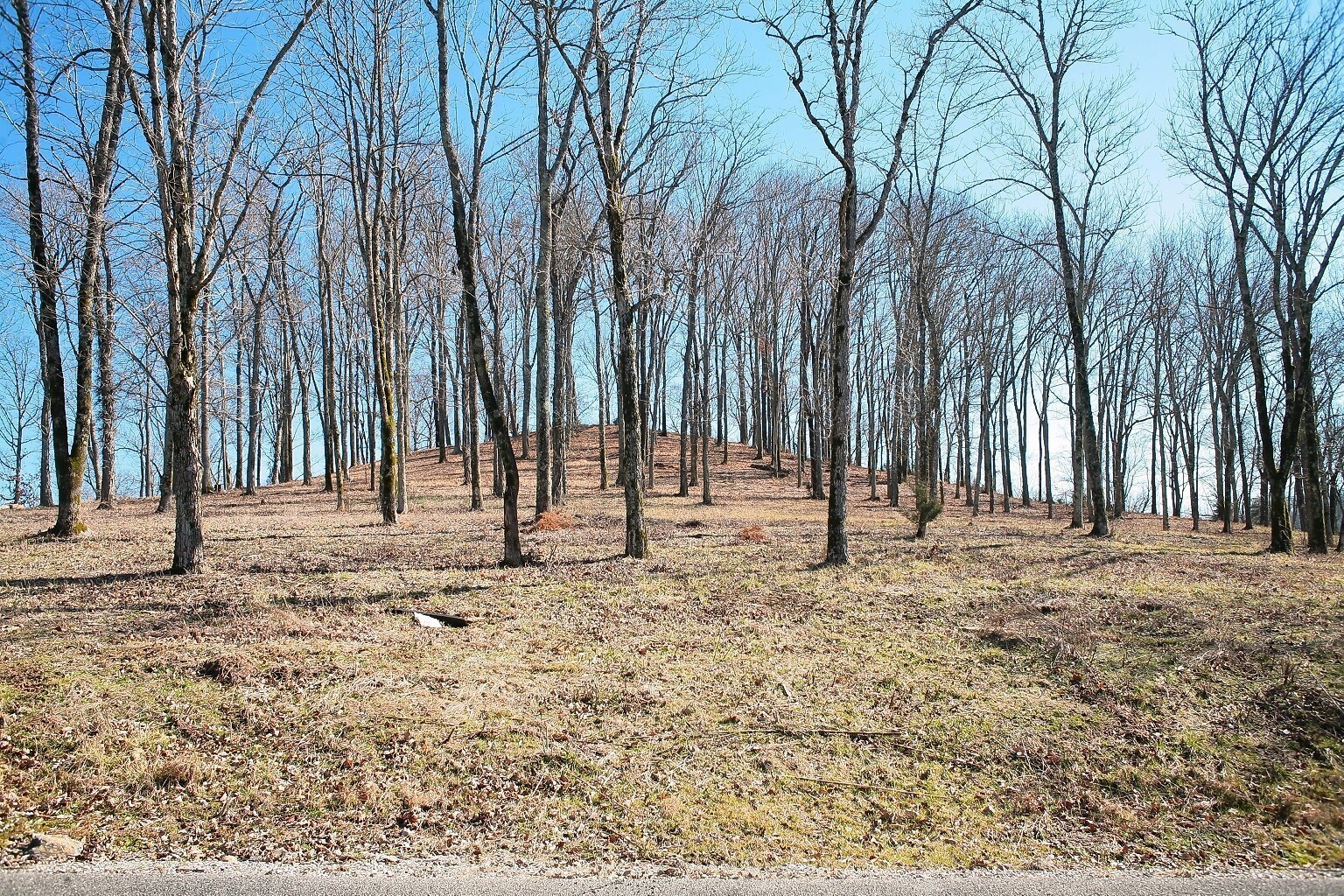 240 Wilson Circle Property Photo