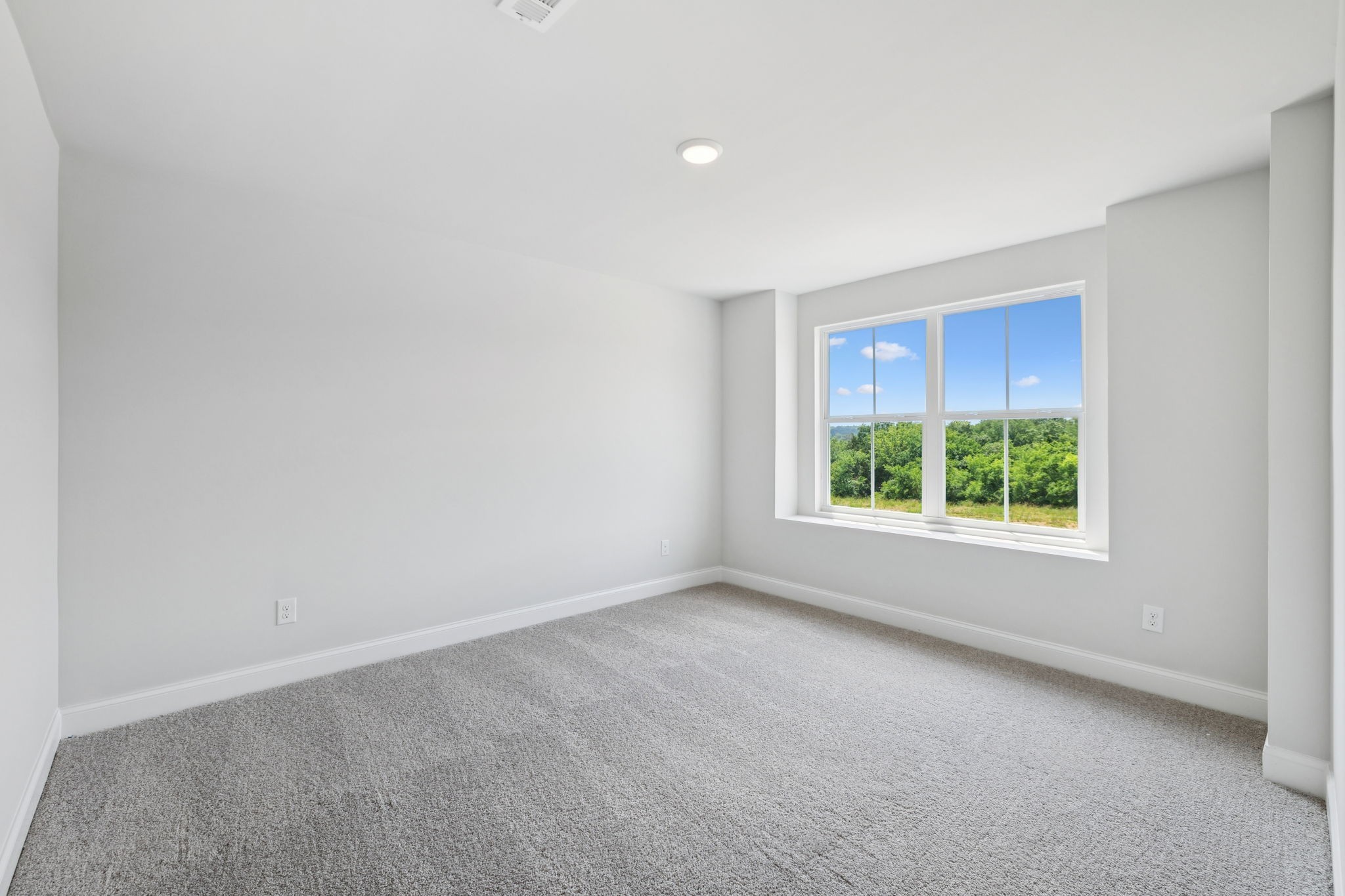 124 Emeline Way Property Photo 25