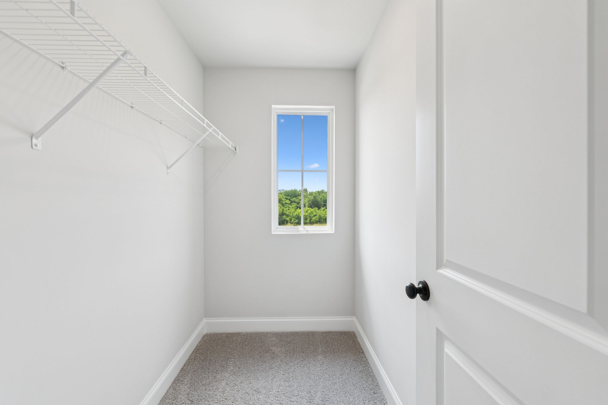 124 Emeline Way Property Photo 26