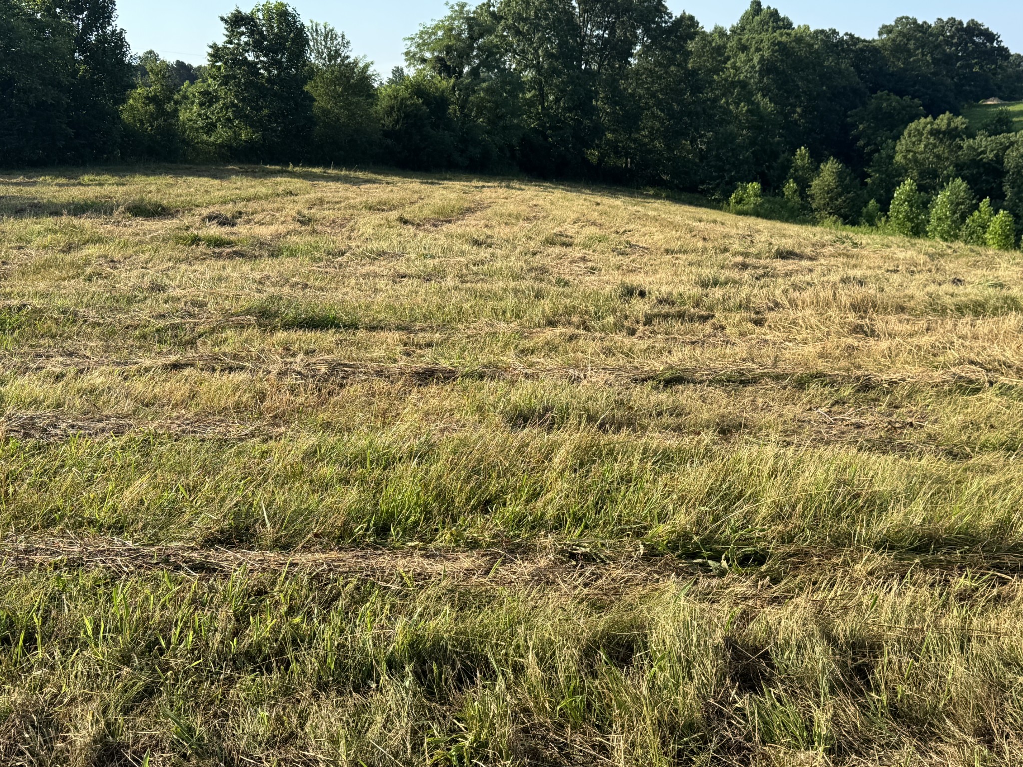 3021 Pea Ridge Rd Property Photo 3