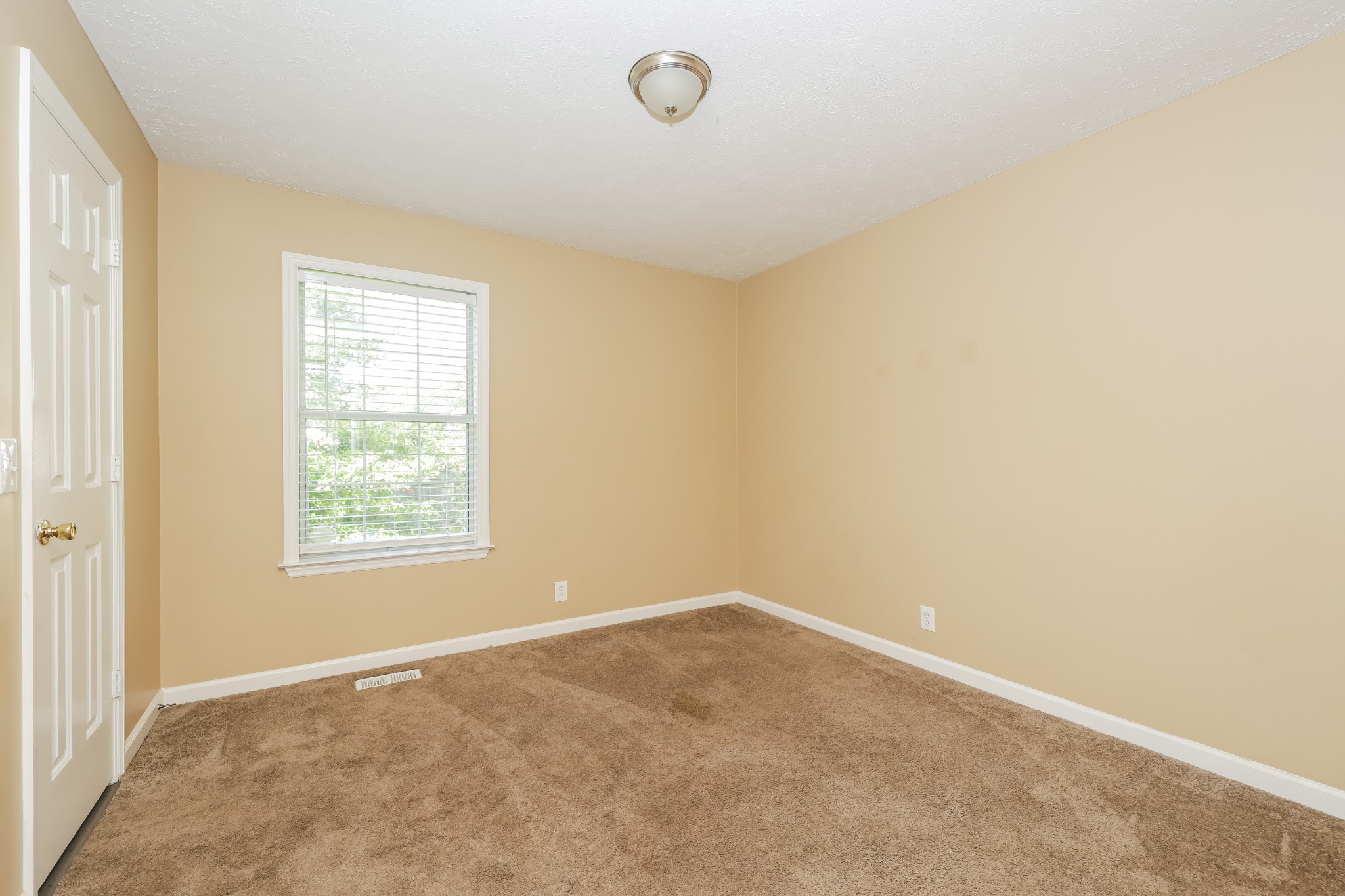1805 Hickory Lawn Ct Property Photo 12
