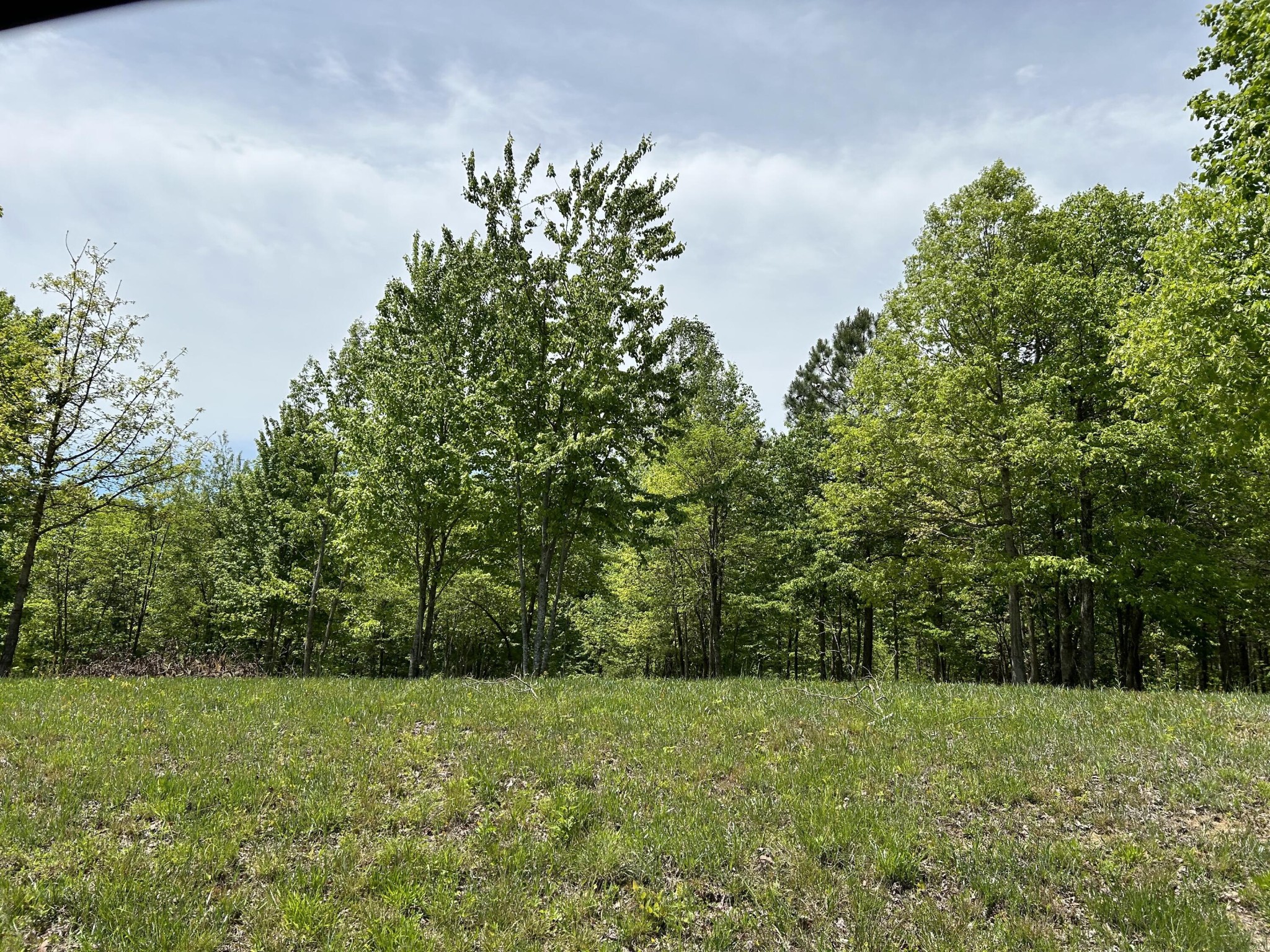 275 Lookout View Drive Property Photo 3