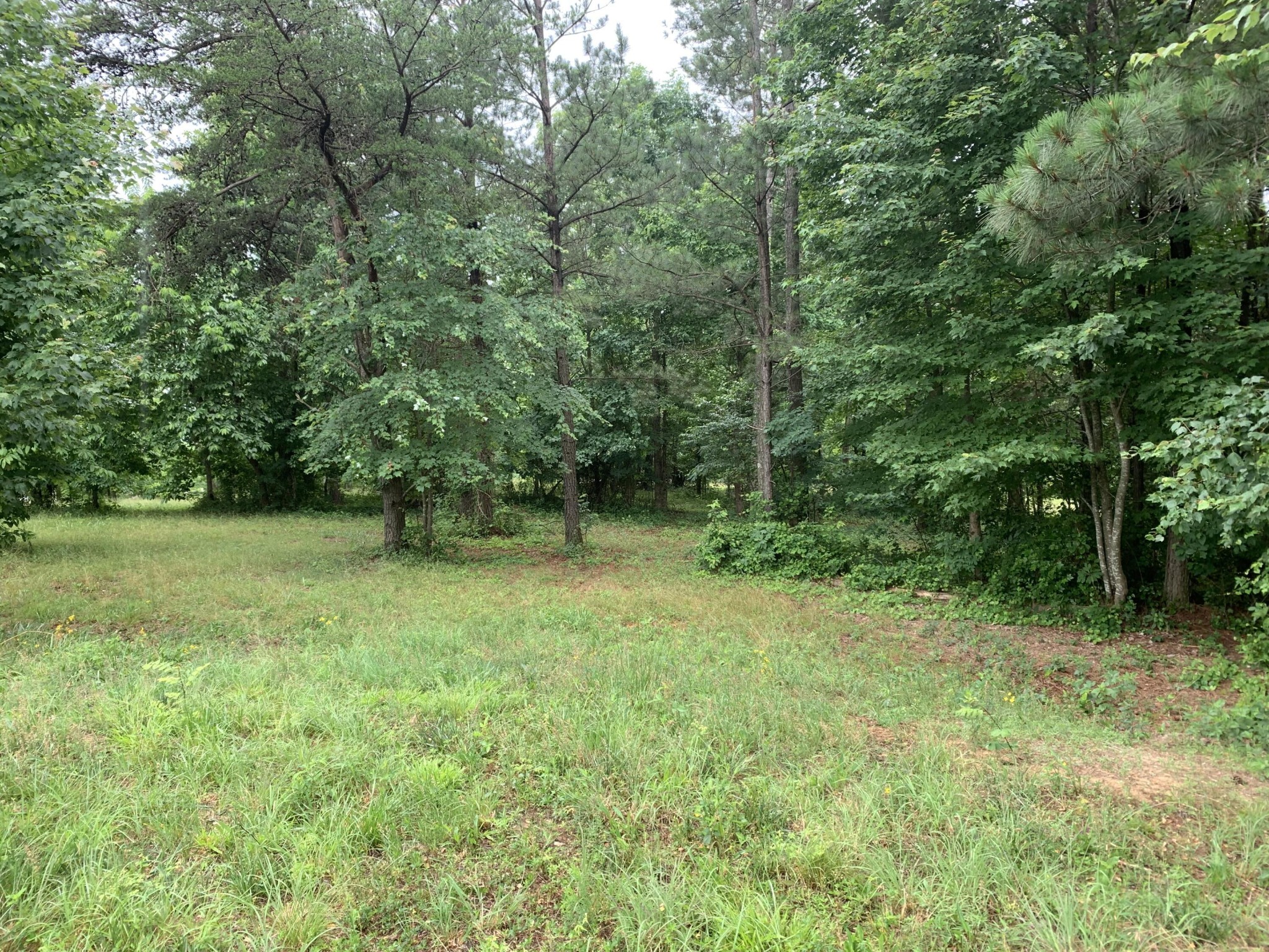 275 Lookout View Drive Property Photo 9