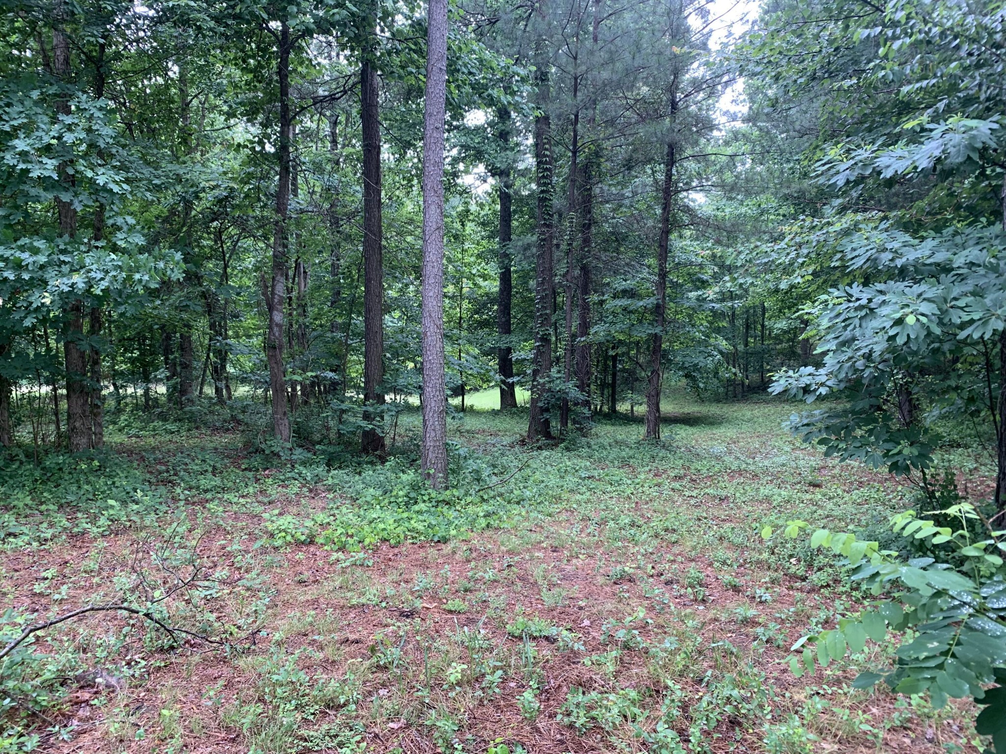 275 Lookout View Drive Property Photo 10