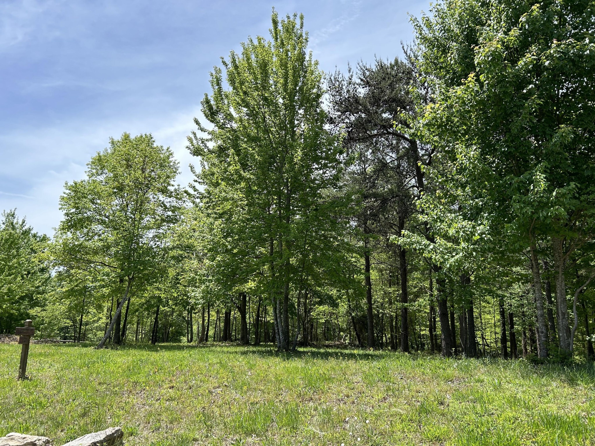 275 Lookout View Drive Property Photo 18