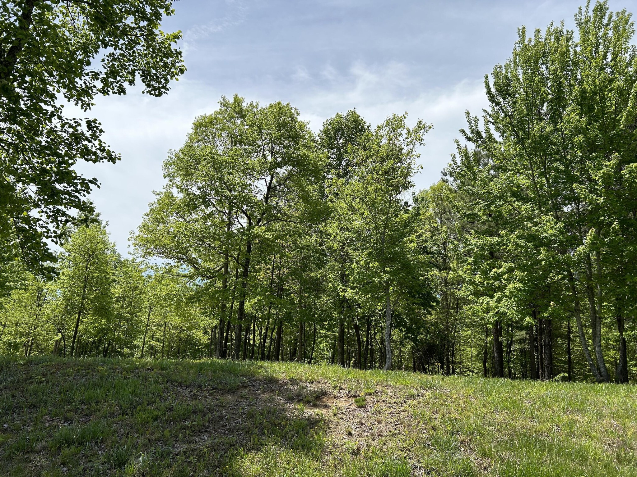 275 Lookout View Drive Property Photo 19