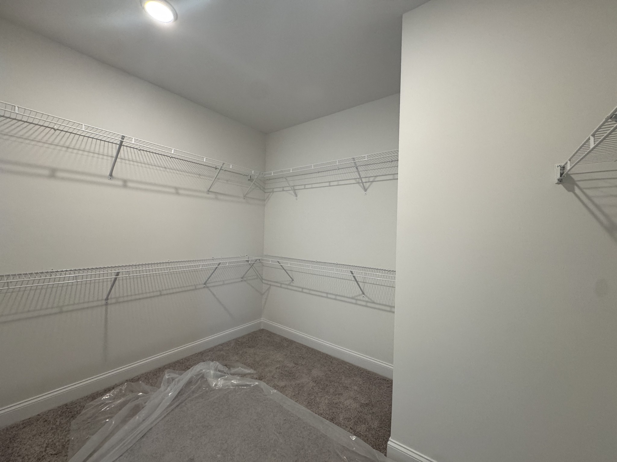 134 Emeline Way Property Photo 29