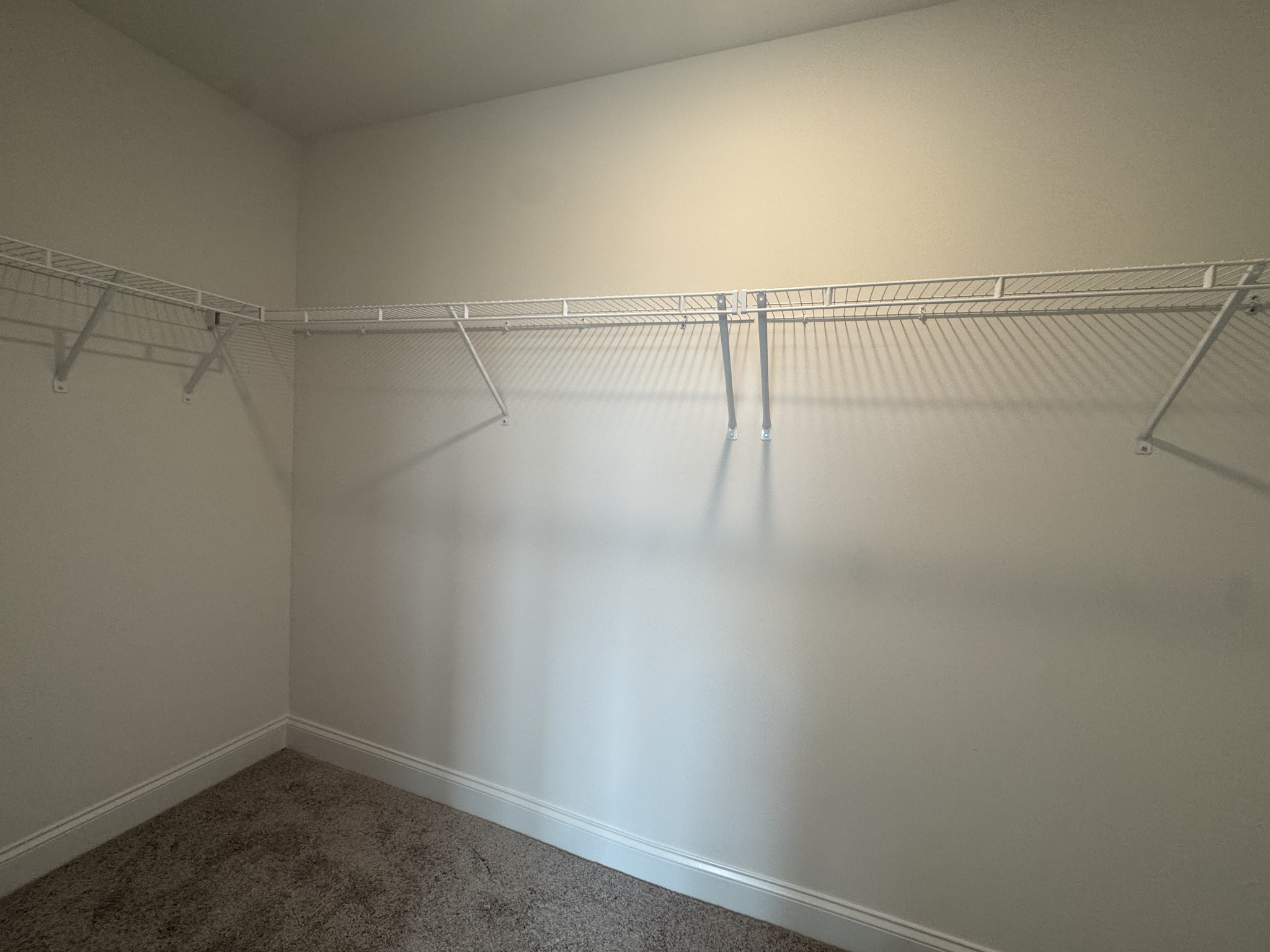 134 Emeline Way Property Photo 39