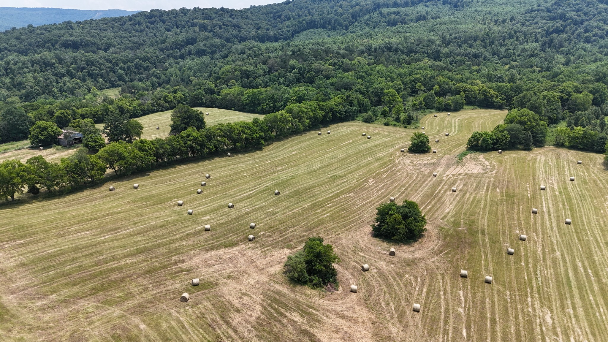 0 Cane Creek Road Property Photo 1