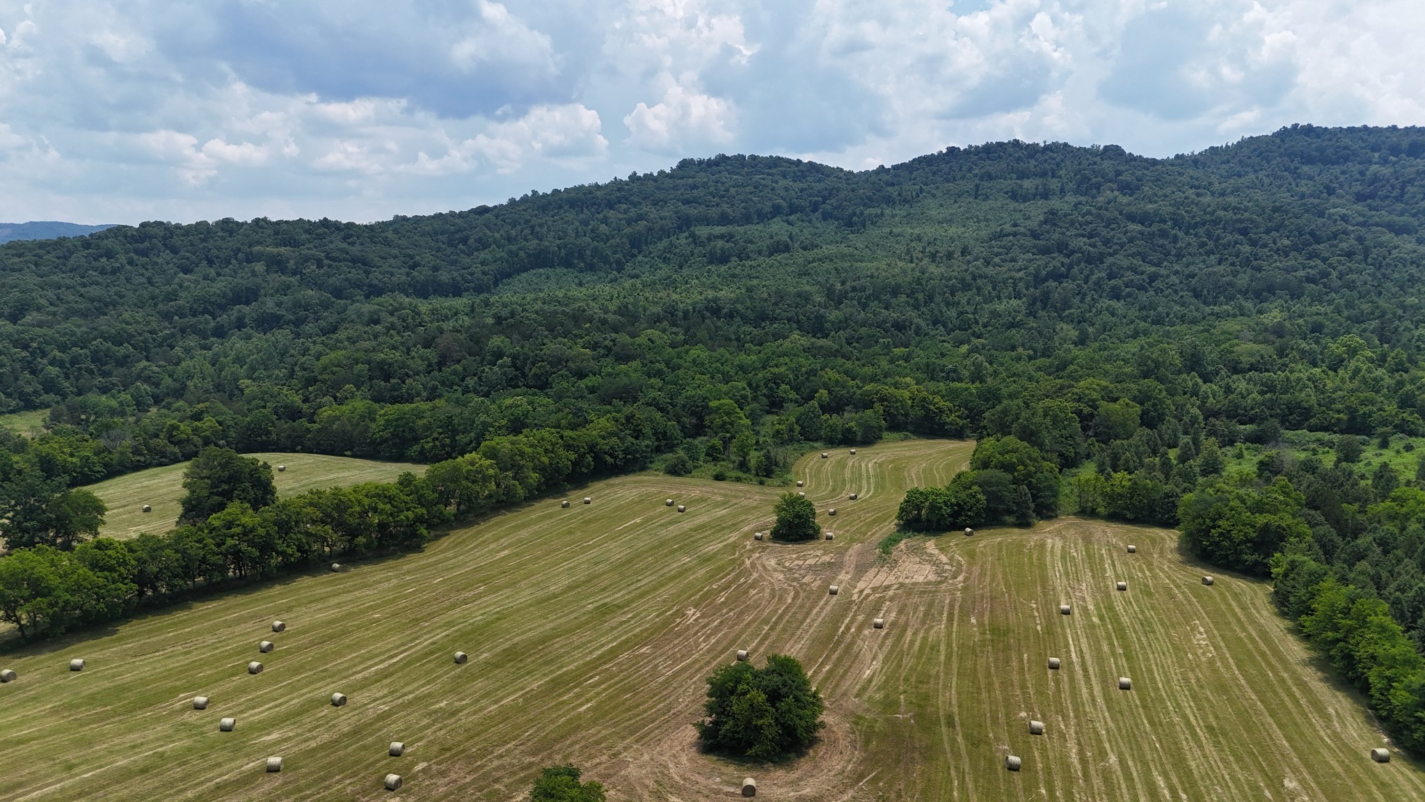 0 Cane Creek Road Property Photo 1