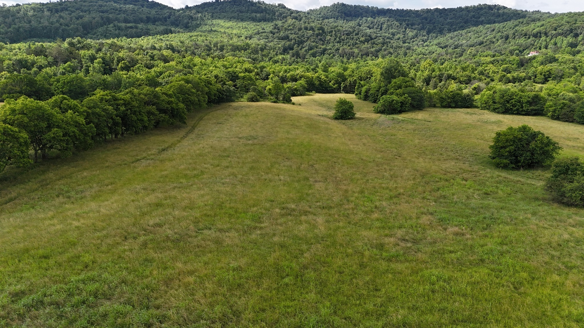 0 Cane Creek Road Property Photo 1