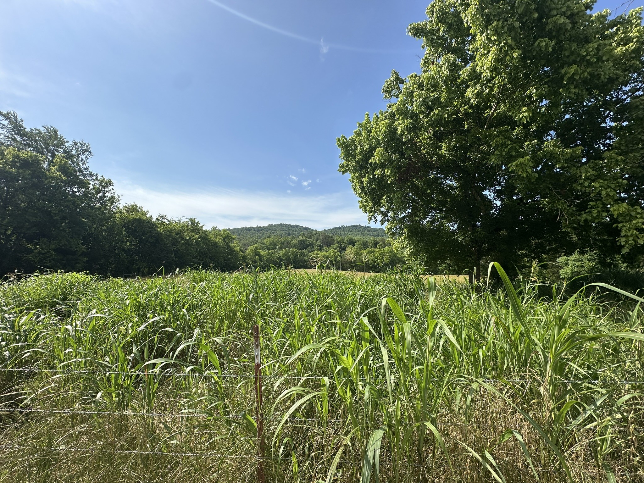 0 Cane Creek Road Property Photo 1