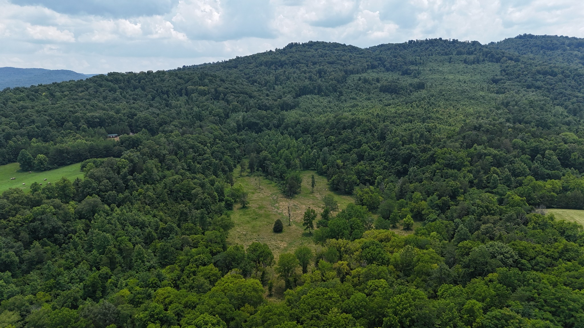 0 Cane Creek Road Property Photo 1