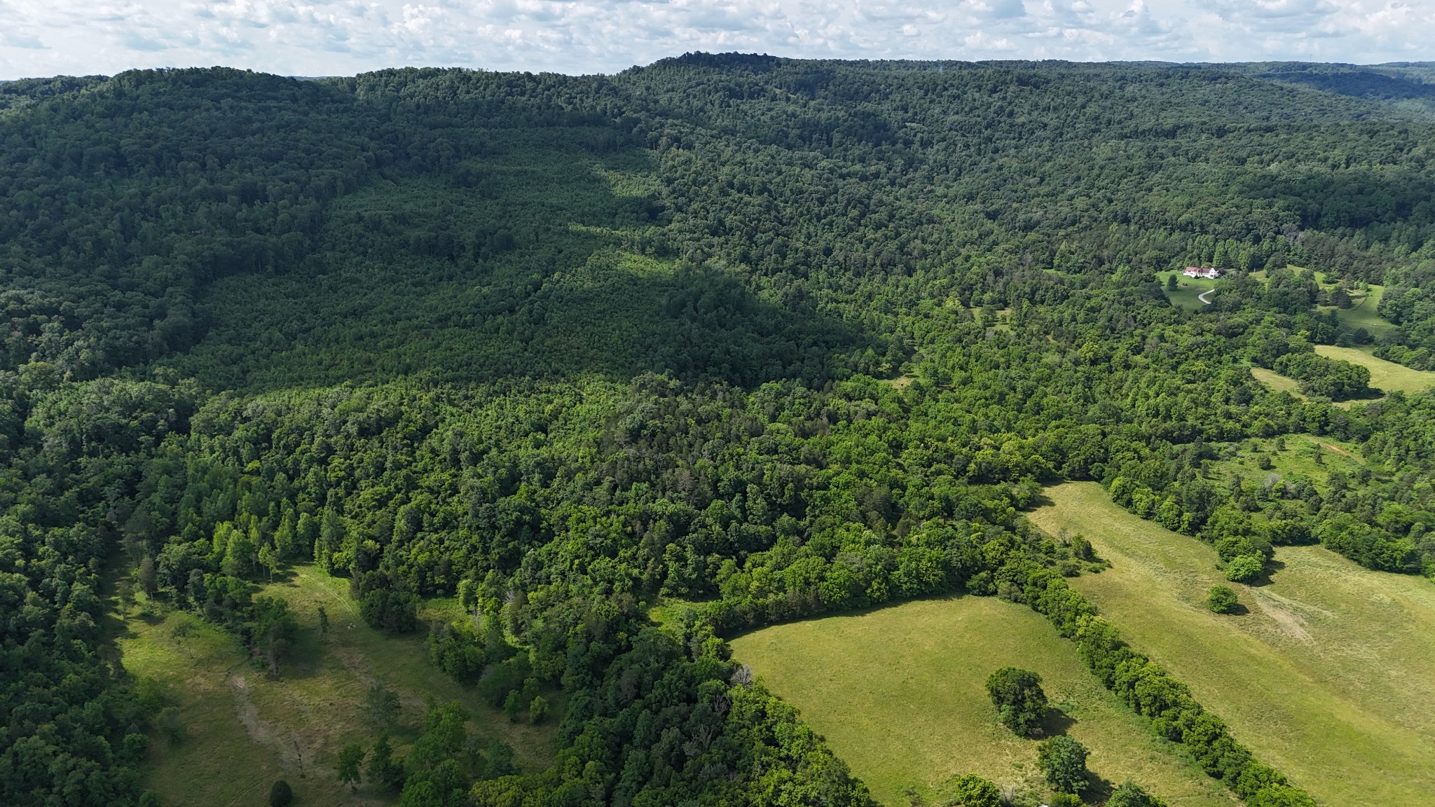 0 Cane Creek Road Property Photo 1