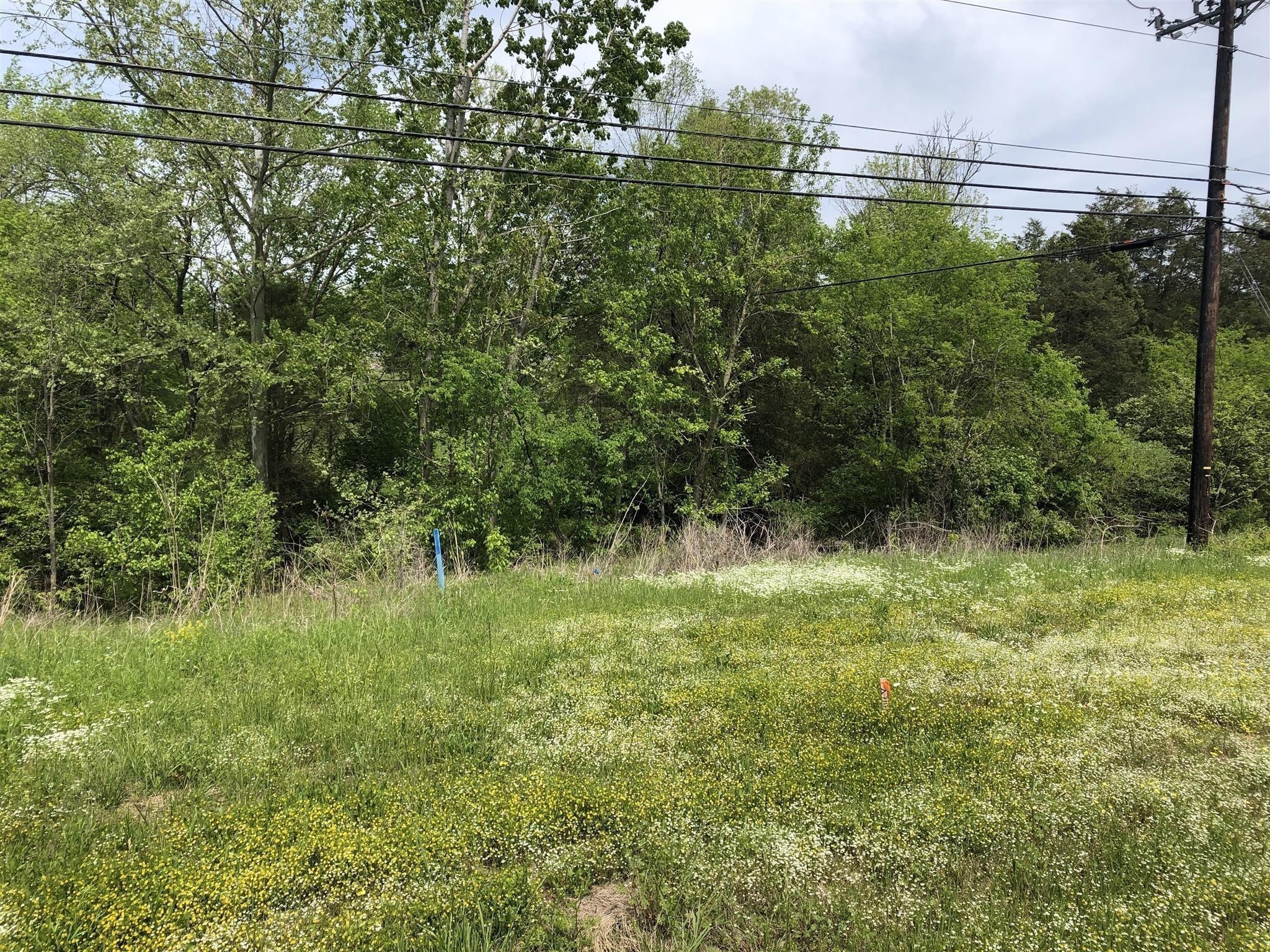4655 Lebanon Rd Property Photo 3