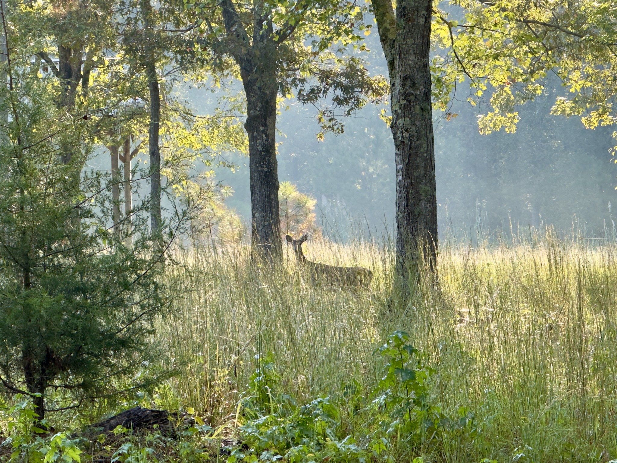 180 Webb Rd Ext Property Photo 1