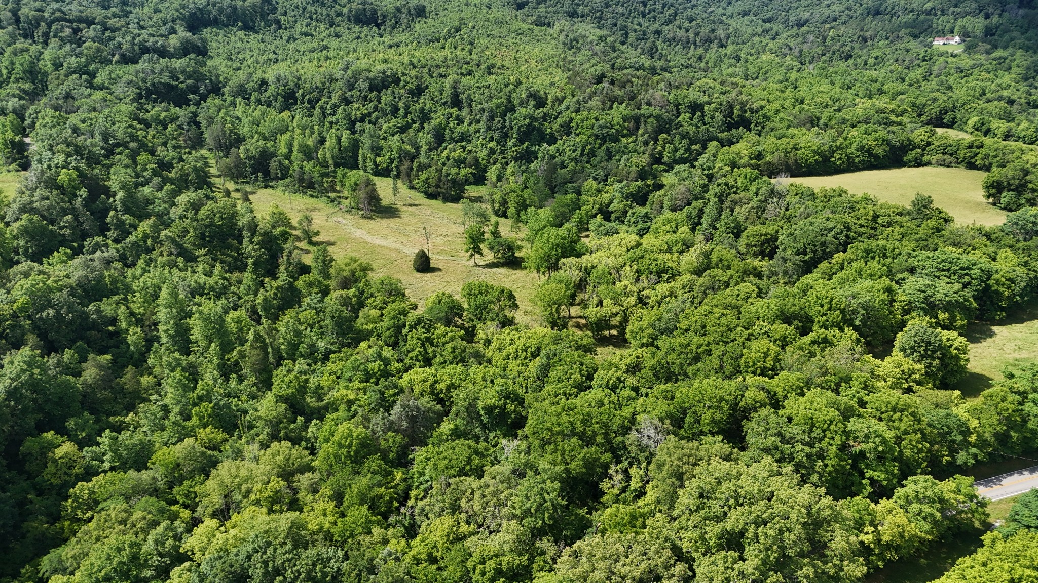 0 Cane Creek Road Property Photo 1