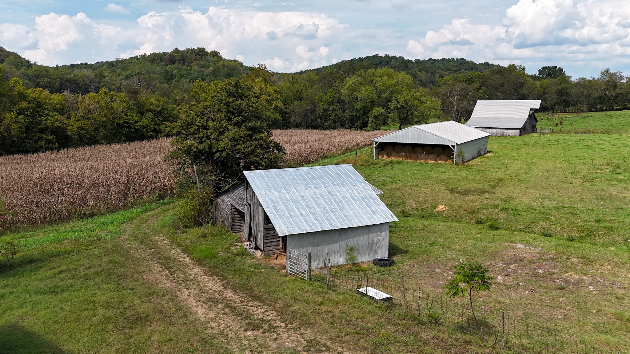 1905 Hams Creek Rd Property Photo 1