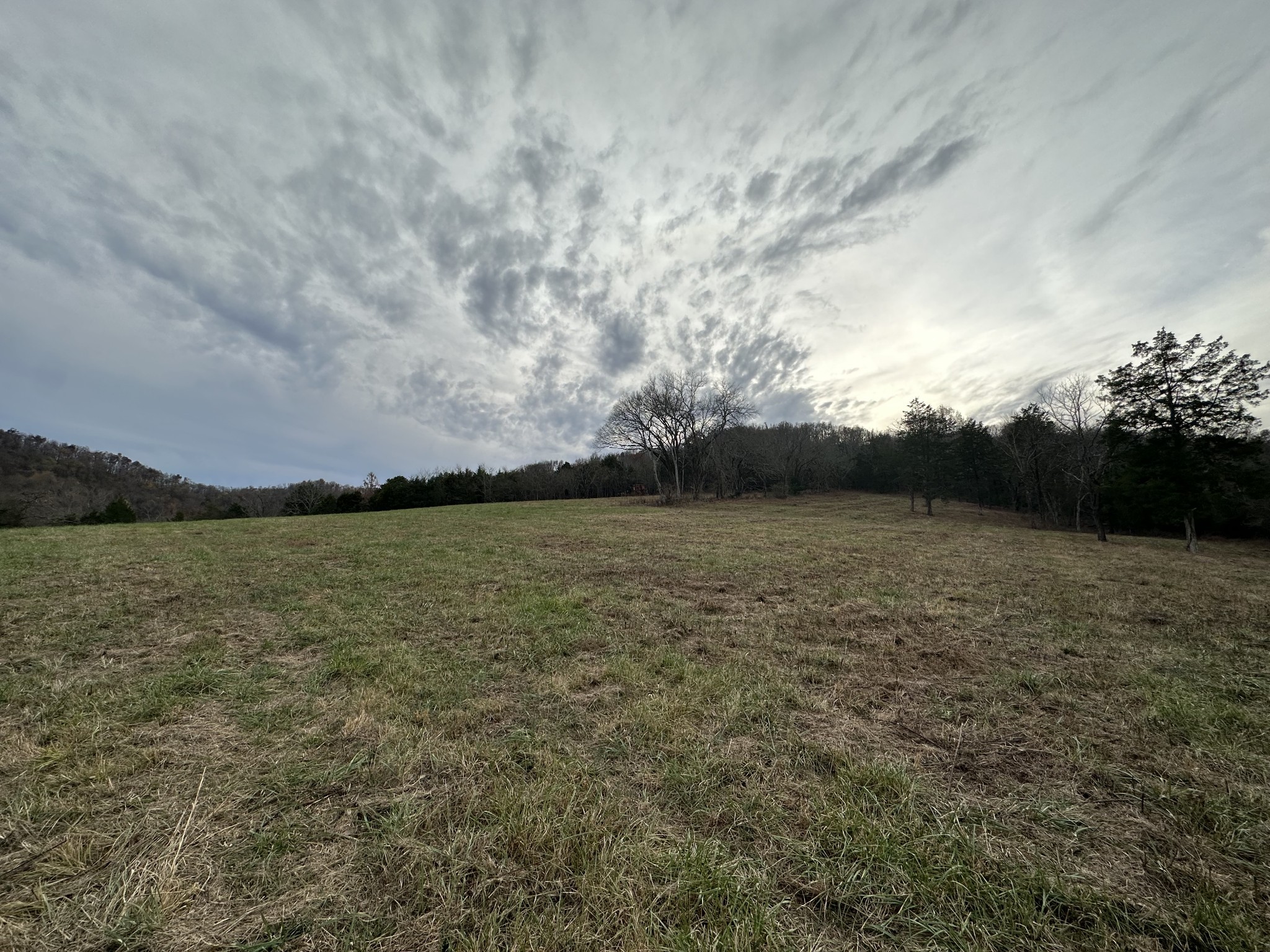 0 Popular Bluff Road Property Photo 7