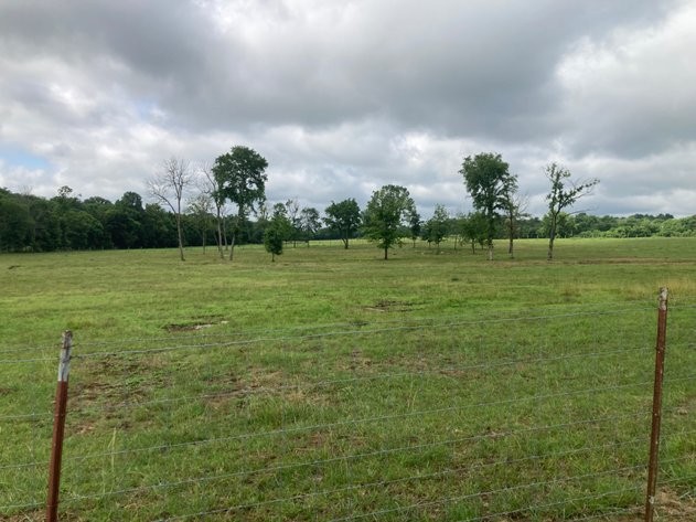189 S Fishing Ford Rd Property Photo 7