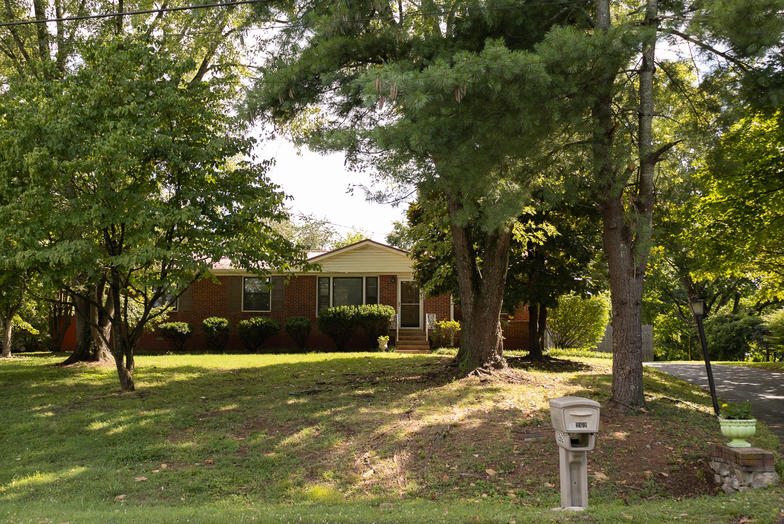 262 Hickorydale Dr Property Photo 3