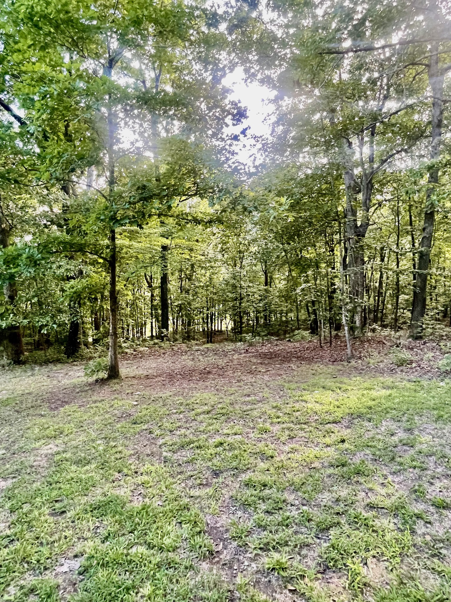 311 Maple Springs Ln Property Photo 9