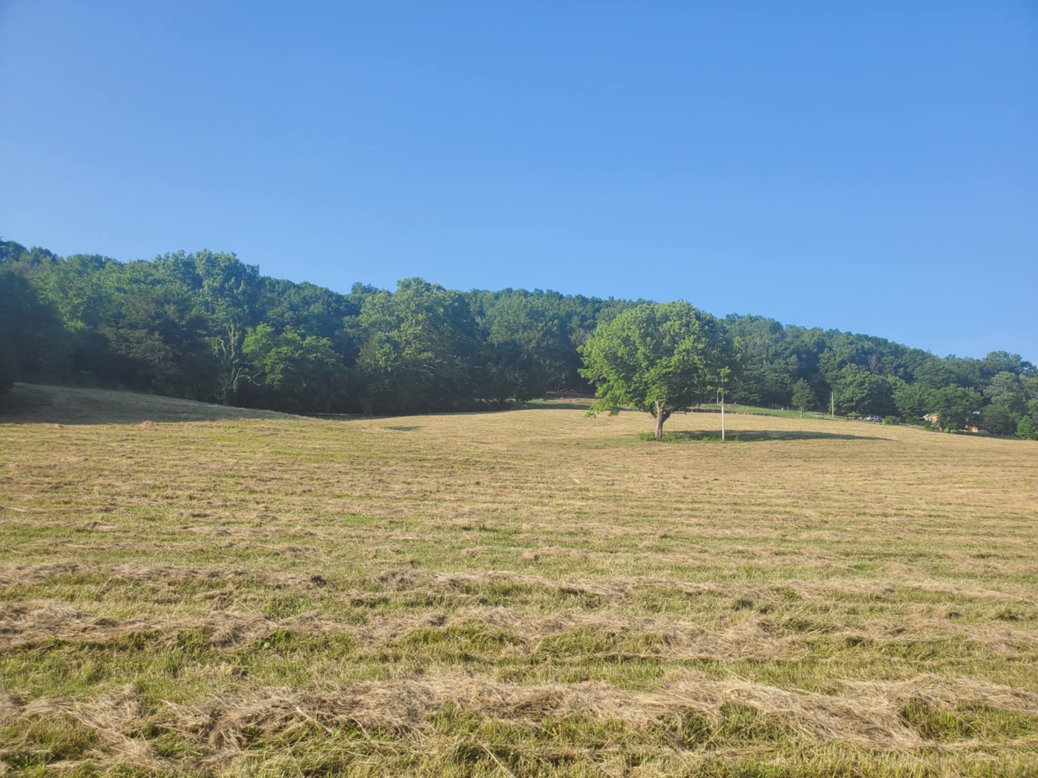 0 Wilkerson Hollow Ln Property Photo