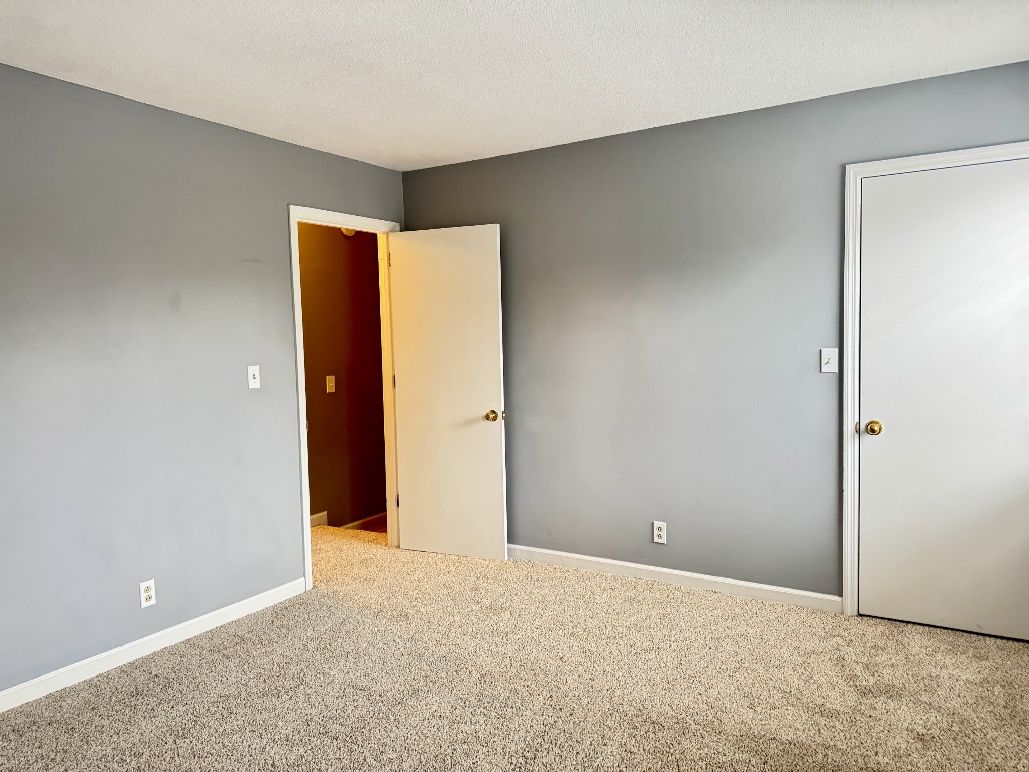 111 Carriage Place Property Photo 21