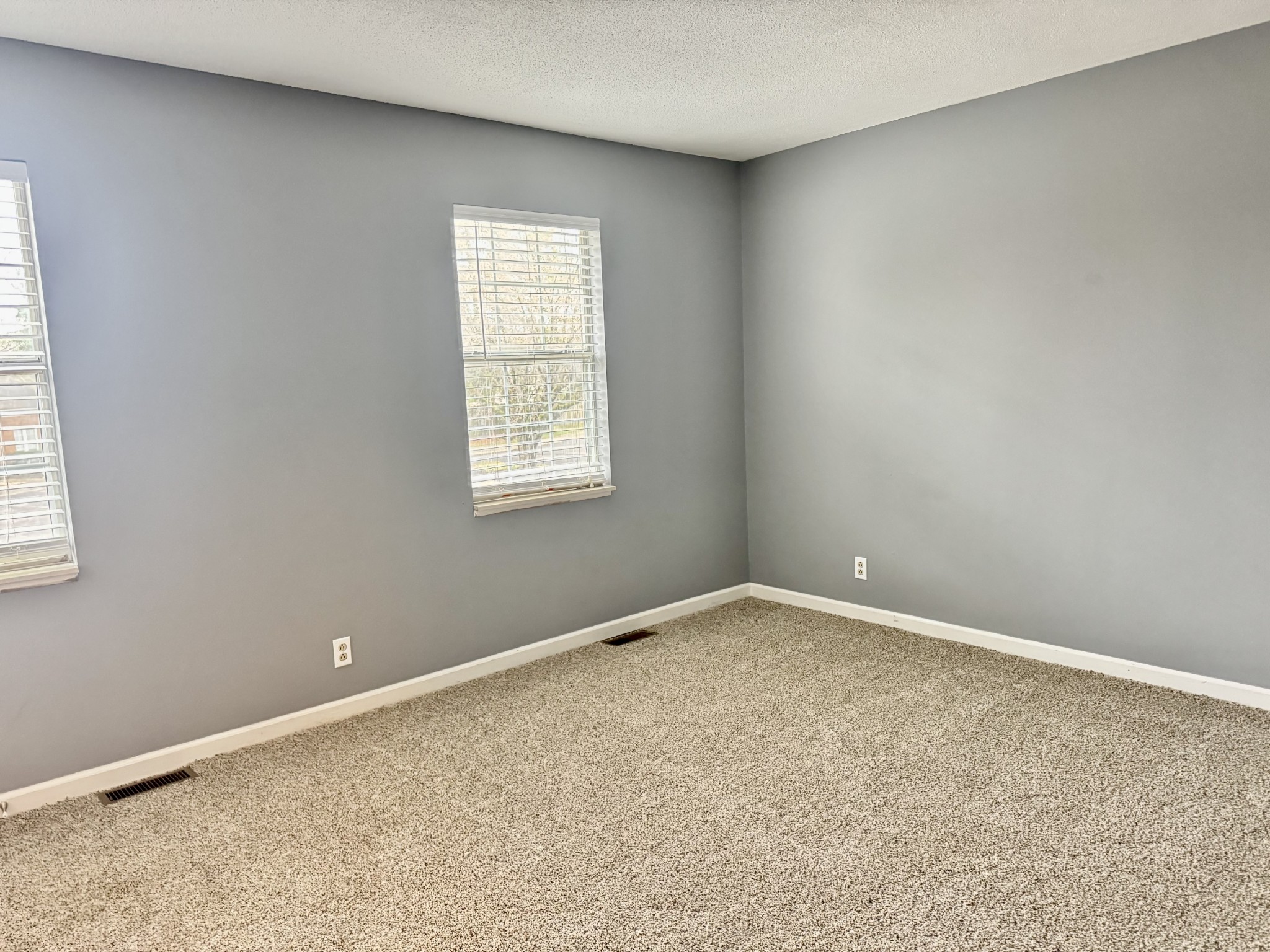 111 Carriage Place Property Photo 22