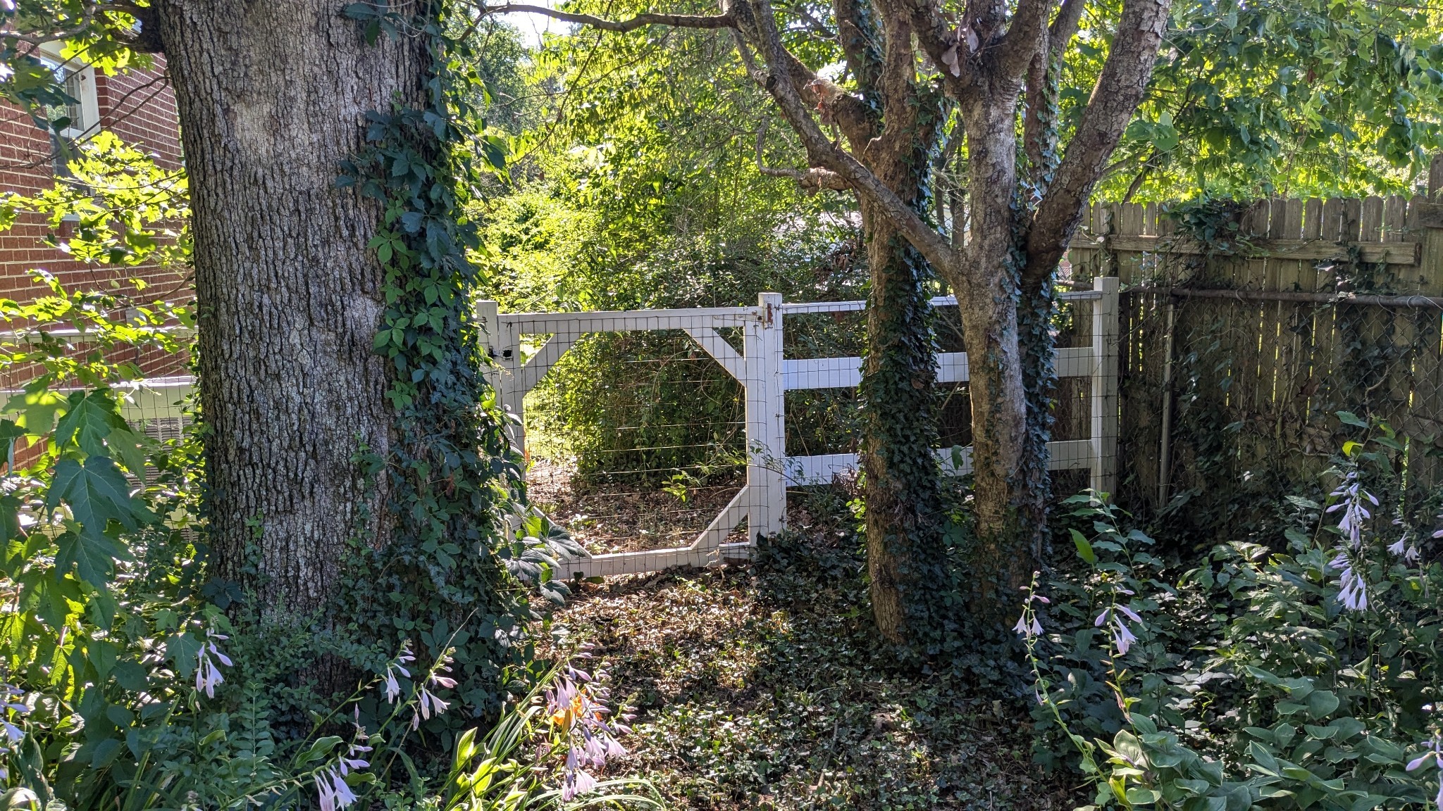 1215 Meadow Rd Property Photo 39