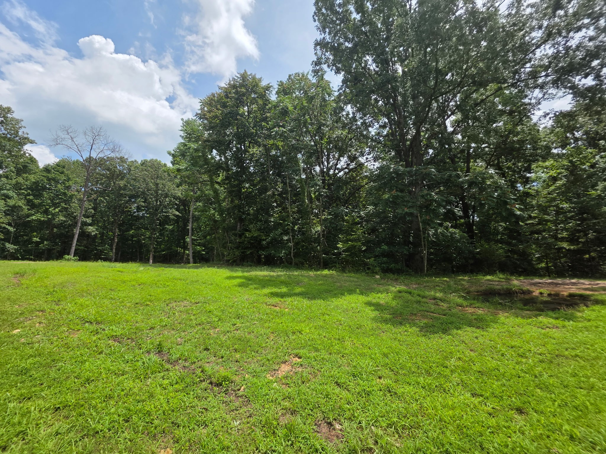 0 Baggett Hollow Property Photo 1