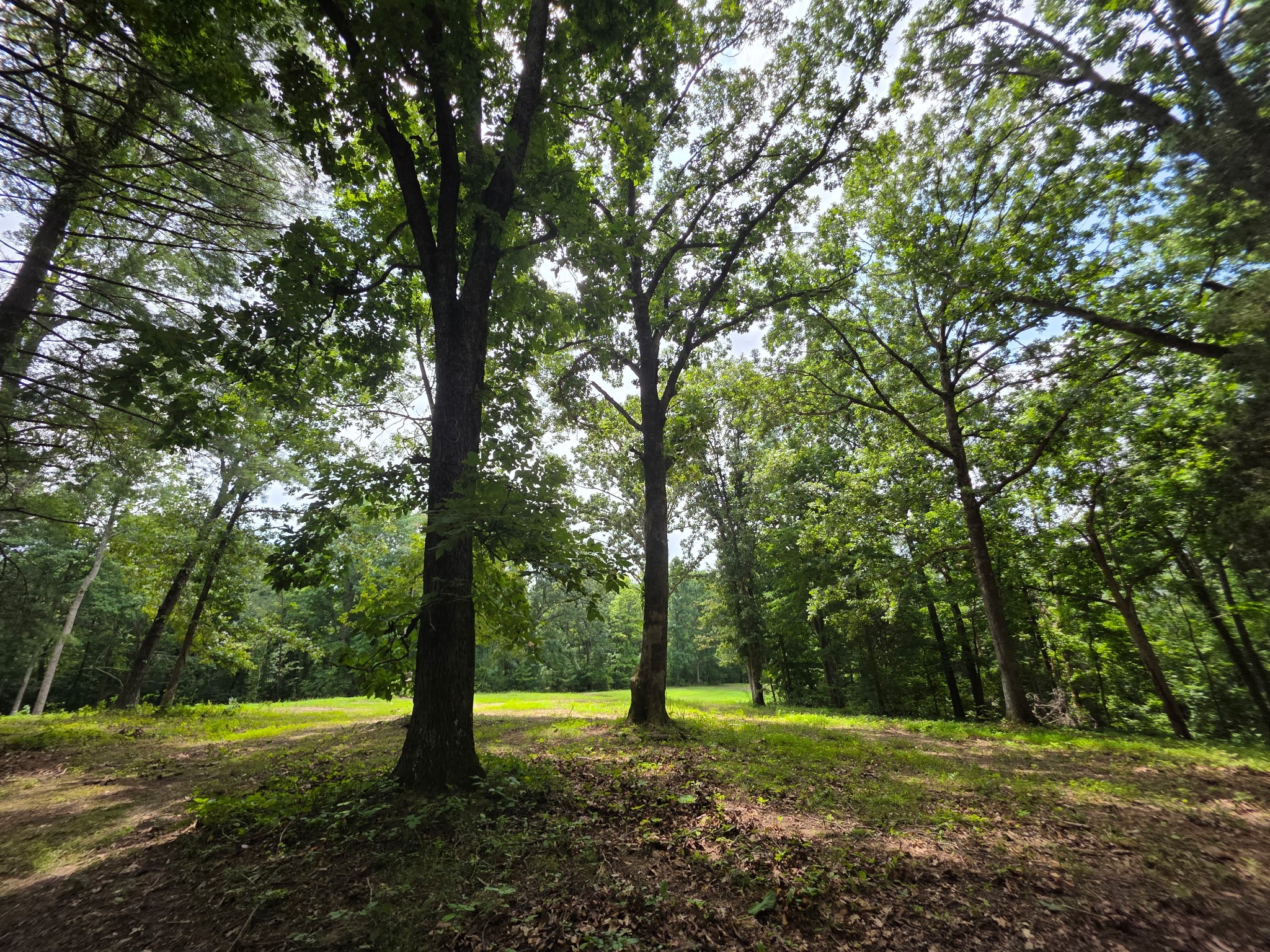 0 Baggett Hollow Property Photo 2