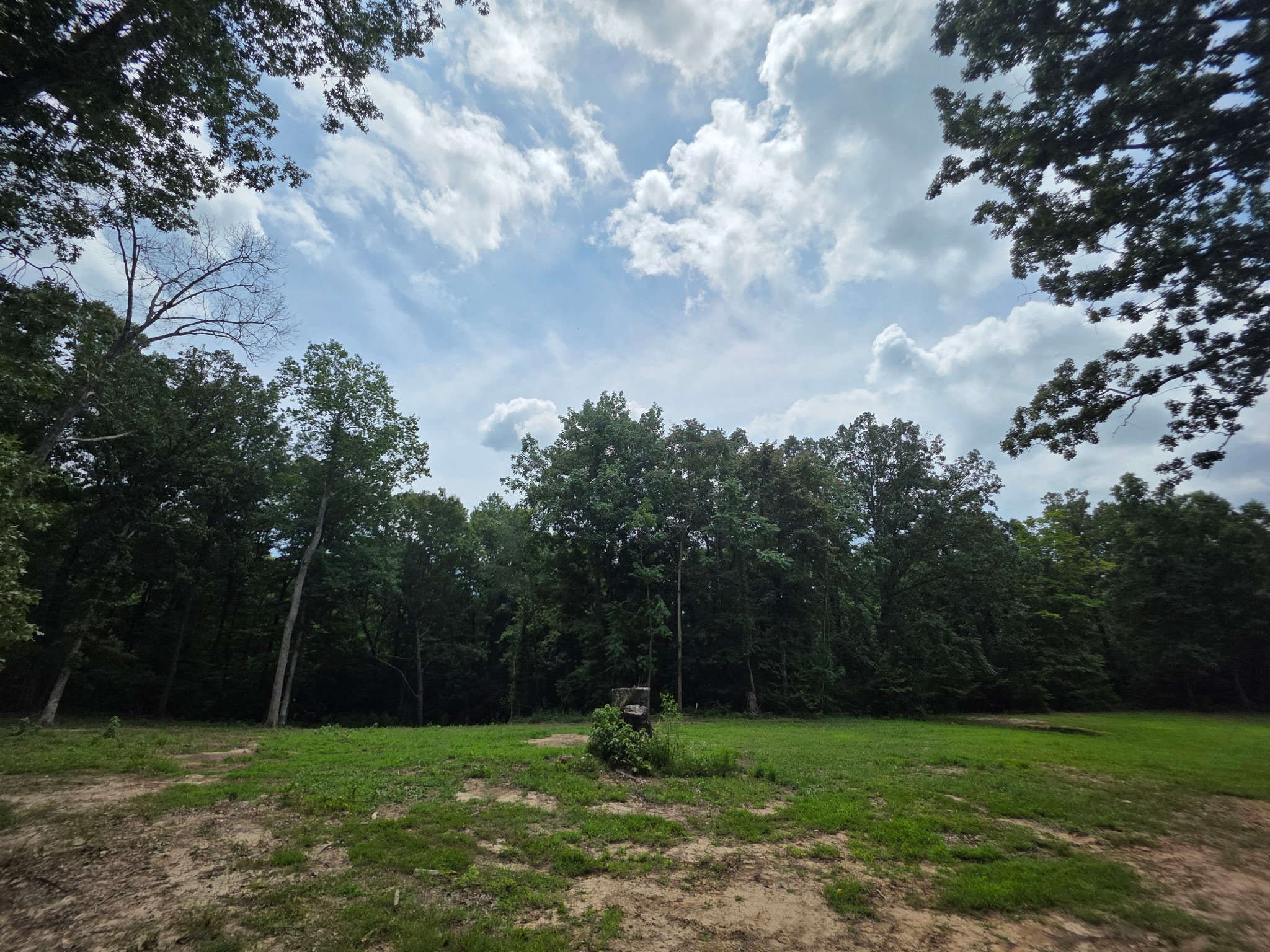 0 Baggett Hollow Property Photo 4