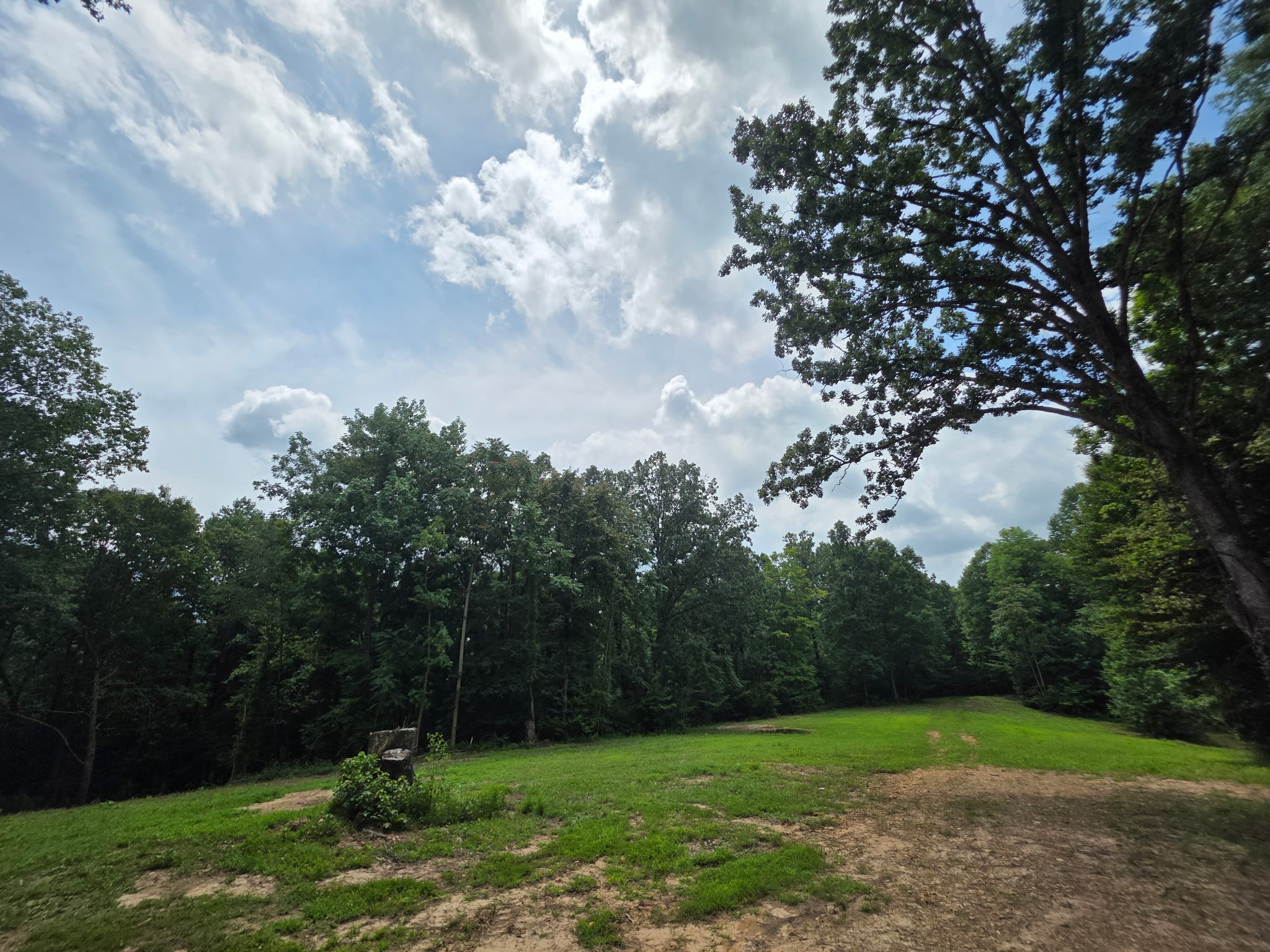 0 Baggett Hollow Property Photo 6