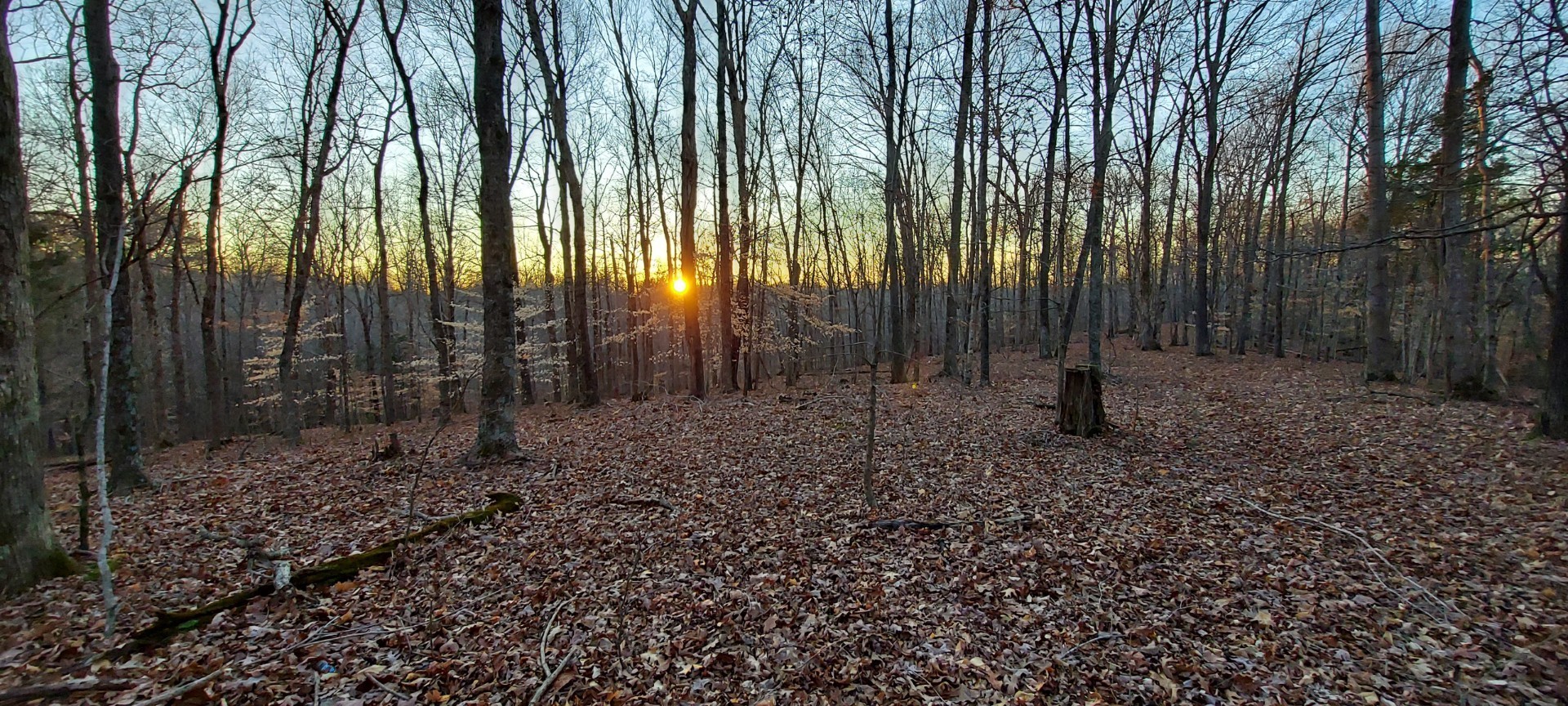 0 Baggett Hollow Property Photo 12