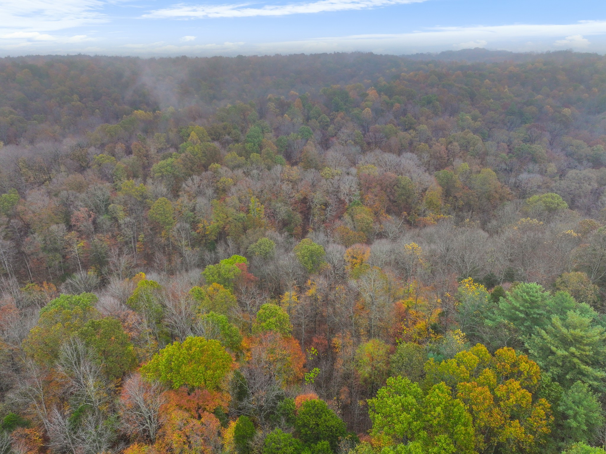 0 Baggett Hollow Property Photo 15