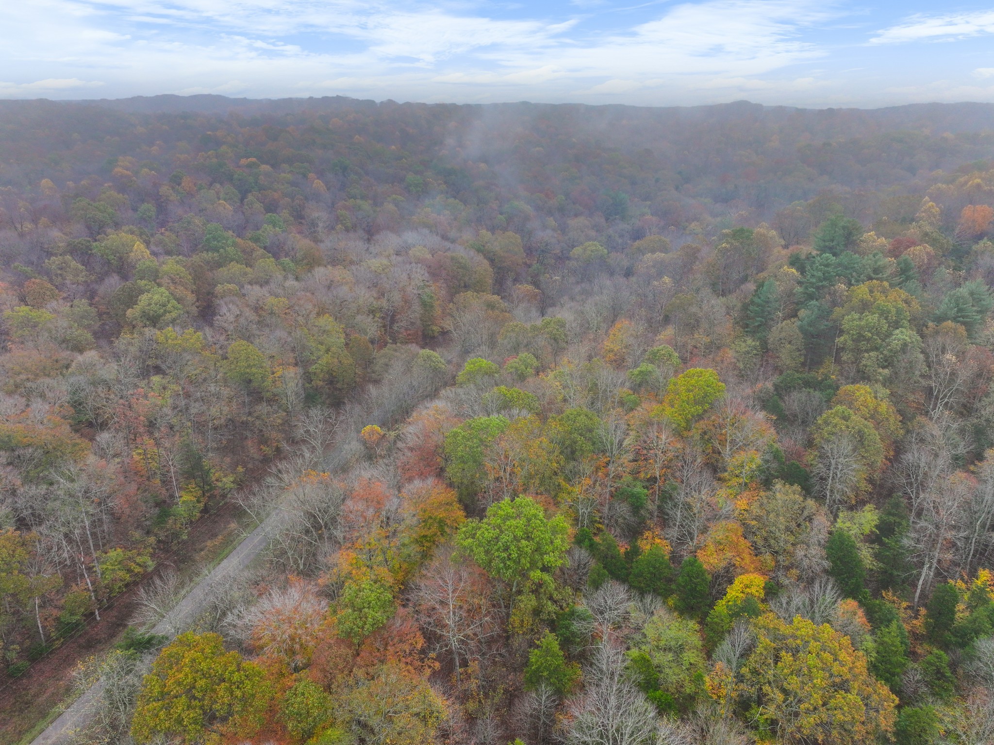 0 Baggett Hollow Property Photo 16