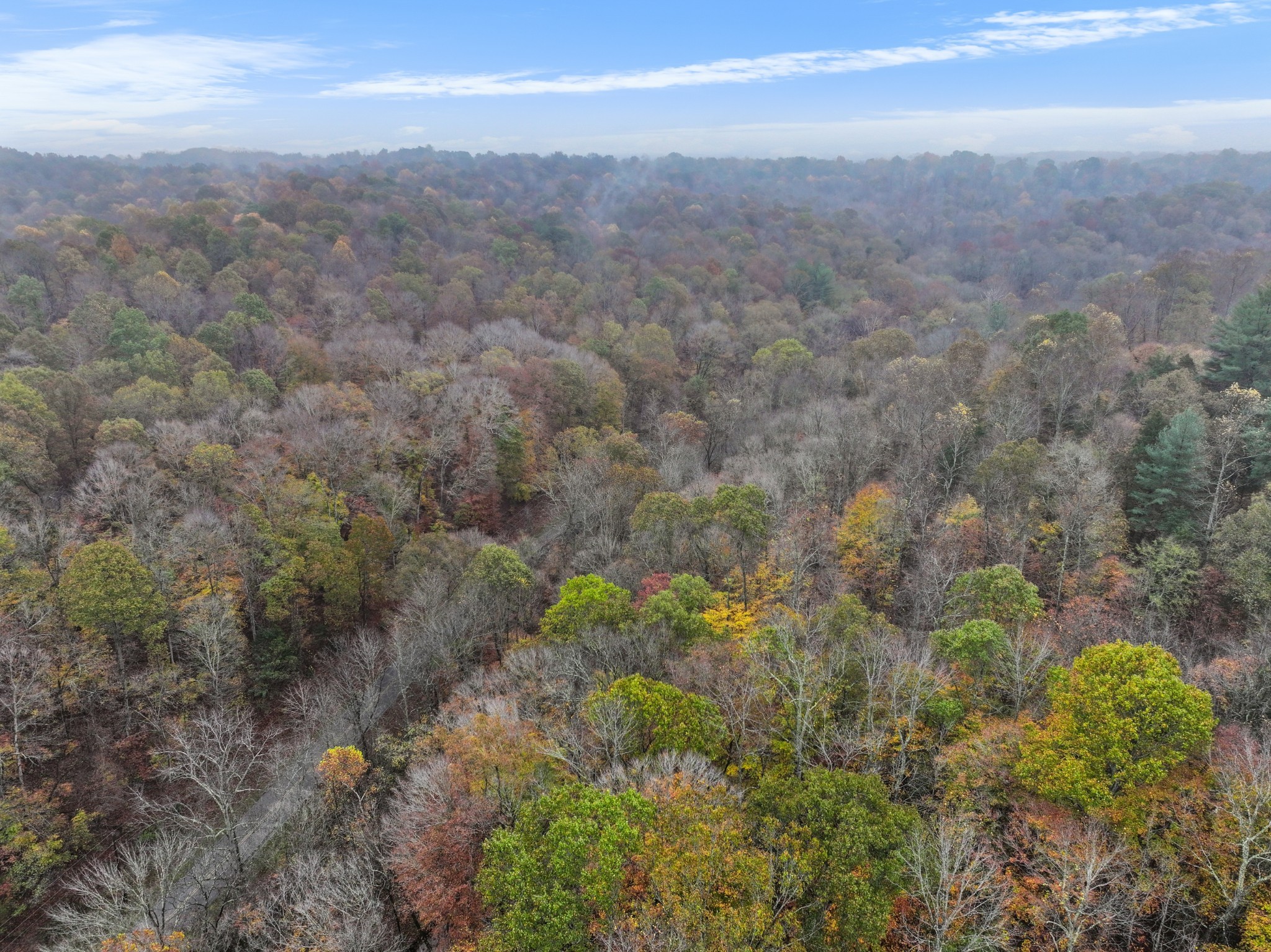 0 Baggett Hollow Property Photo 17