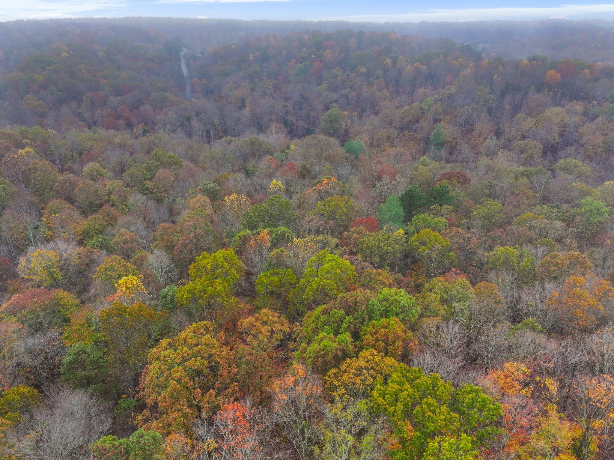 0 Baggett Hollow Property Photo 19