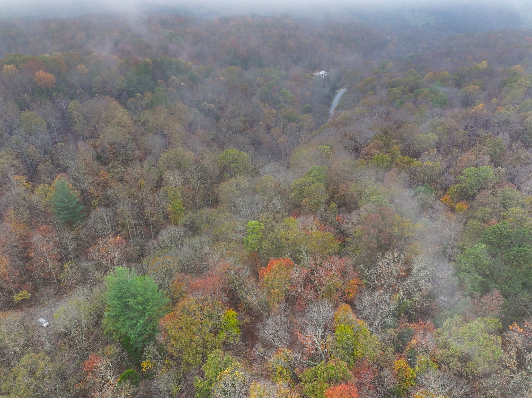 0 Baggett Hollow Property Photo 20