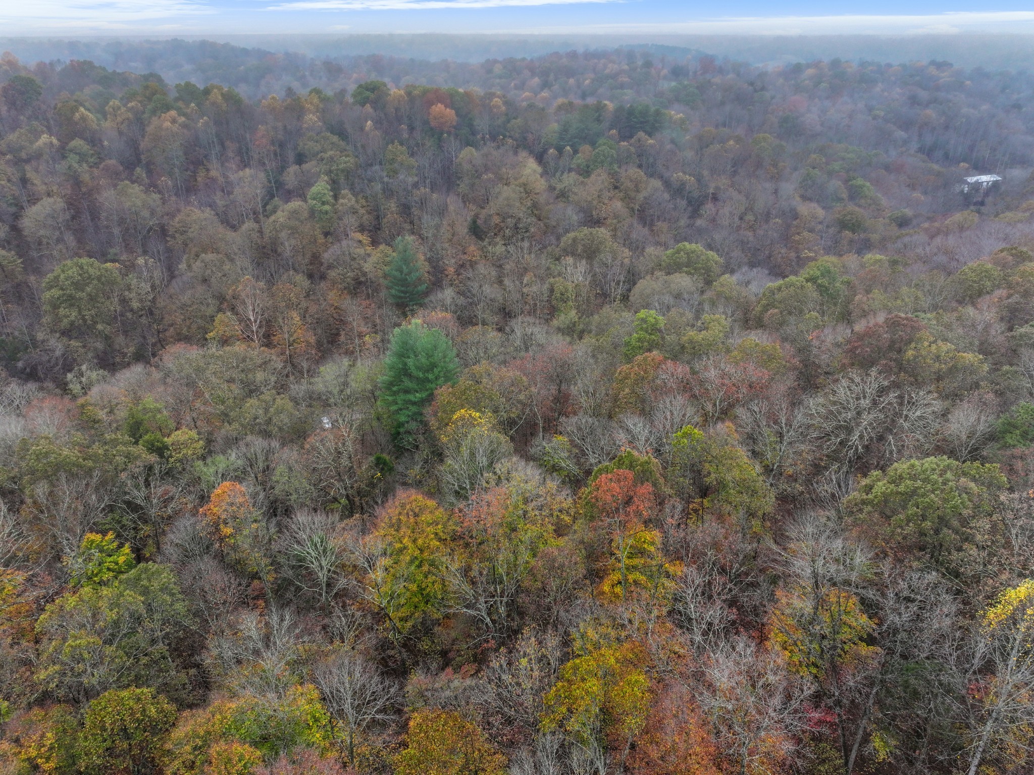 0 Baggett Hollow Property Photo 22