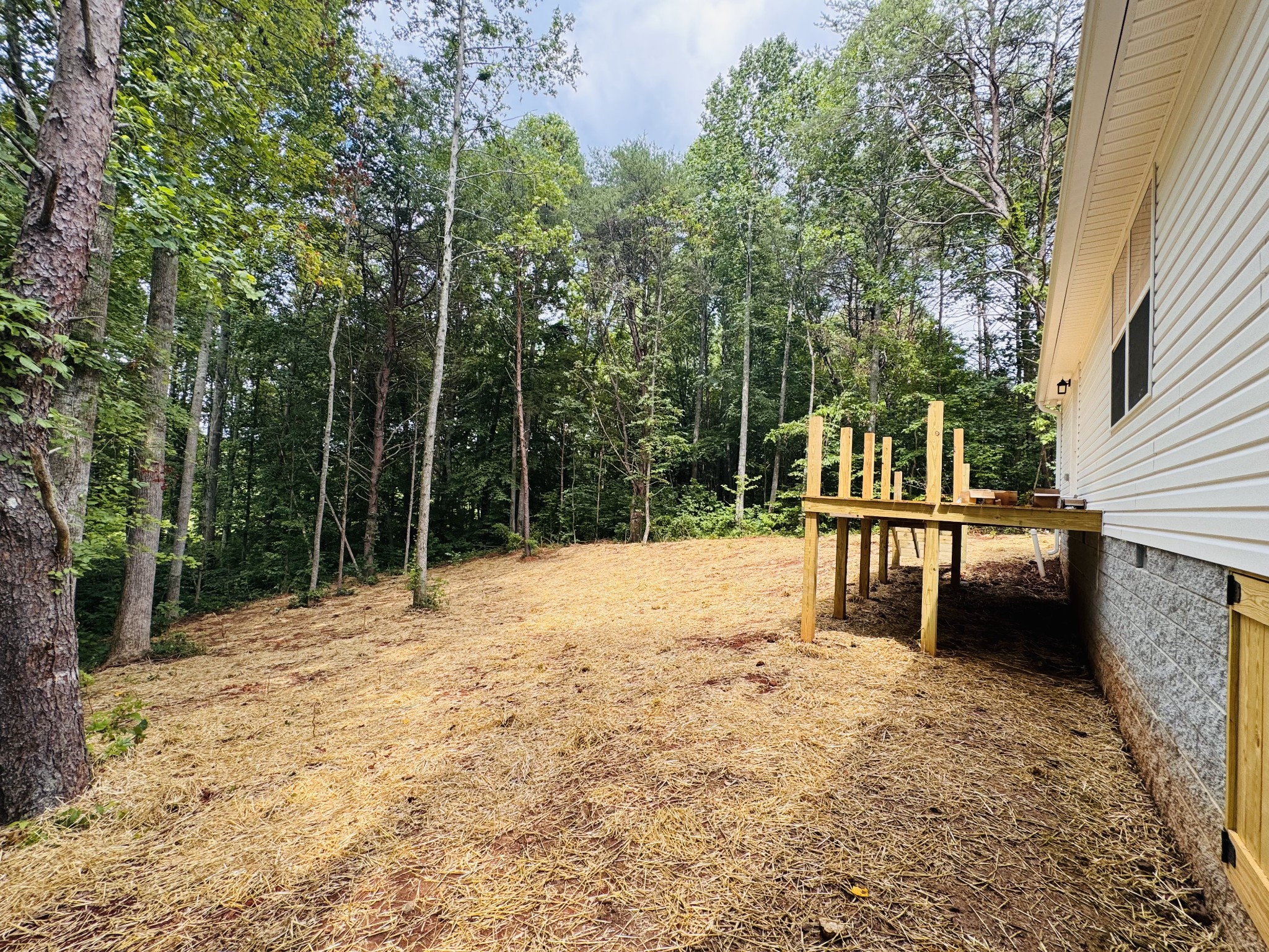307 Hickory Lane Property Photo 30