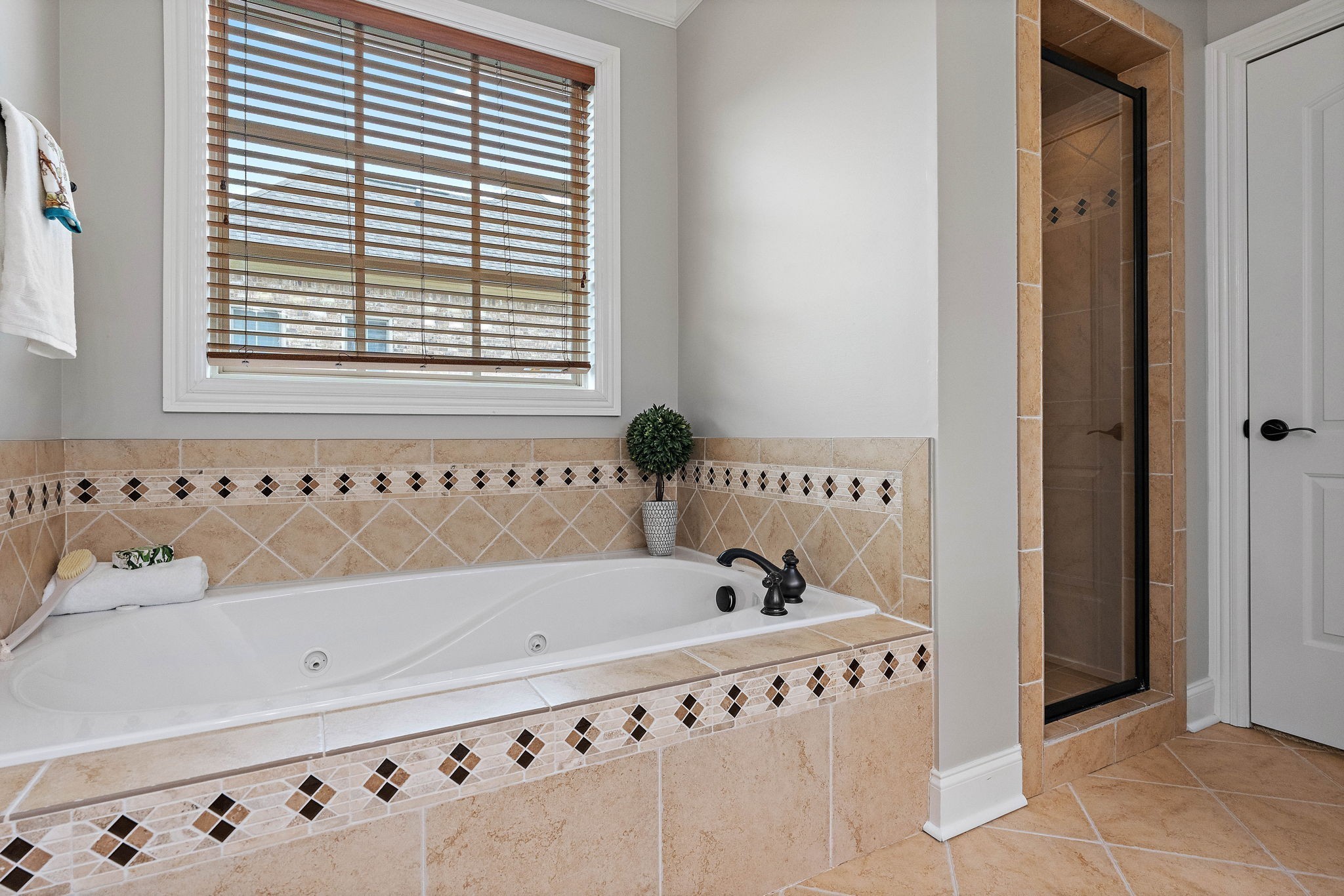 1005 Brittain Downs Dr Property Photo 16