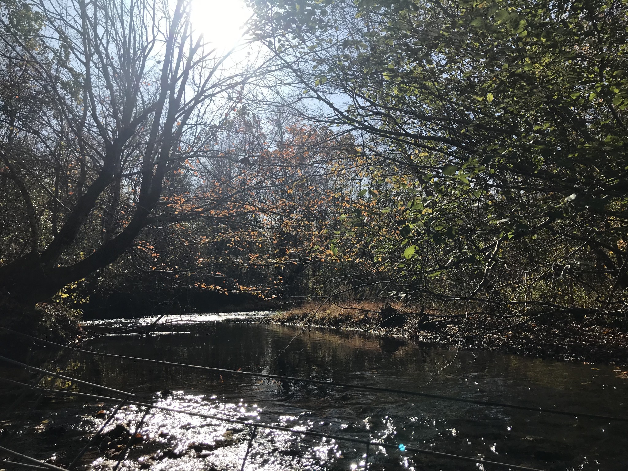 0 Old Weatherford Creek Rd Property Photo 1