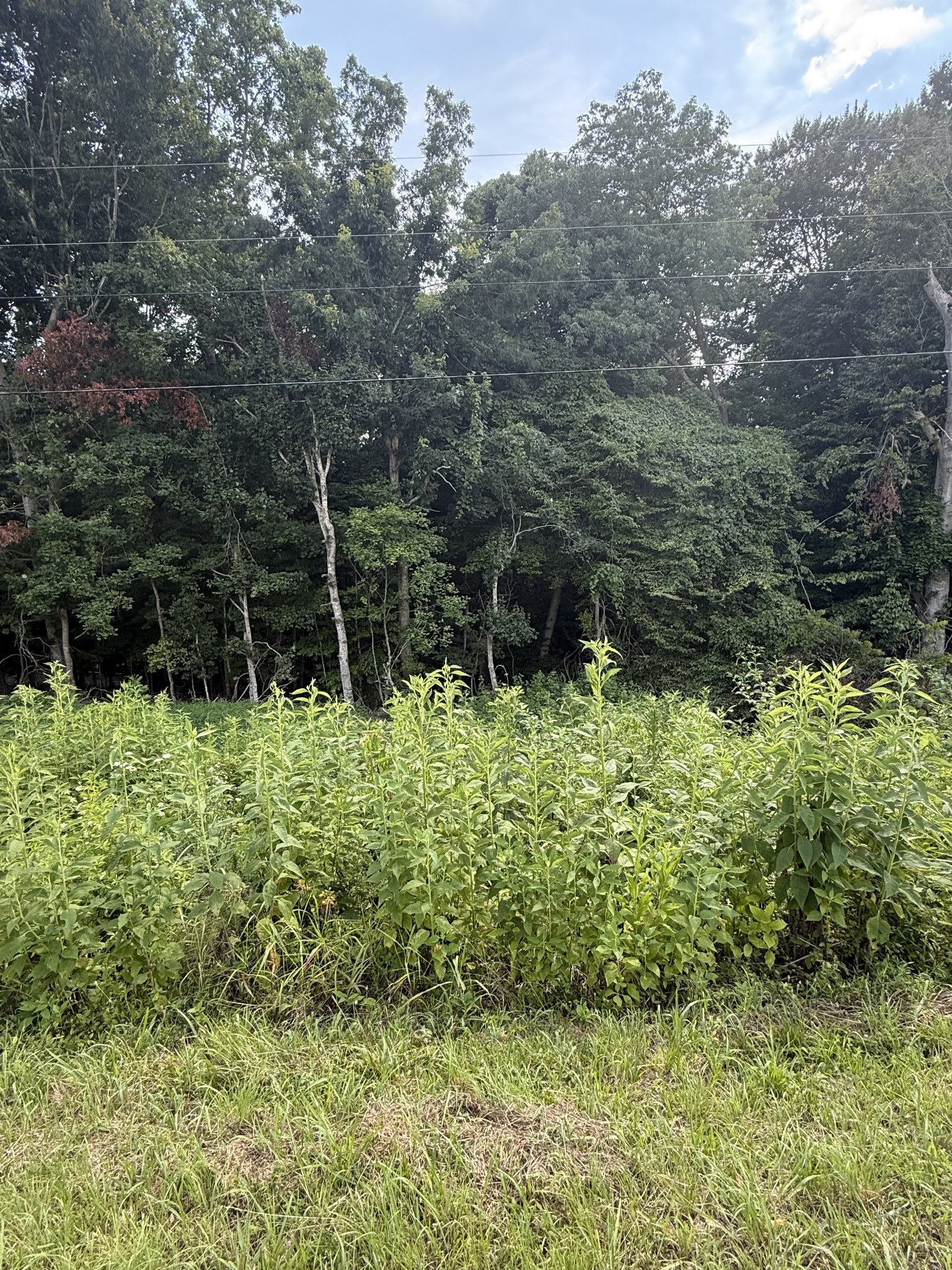 0 Reed Rd Property Photo 3