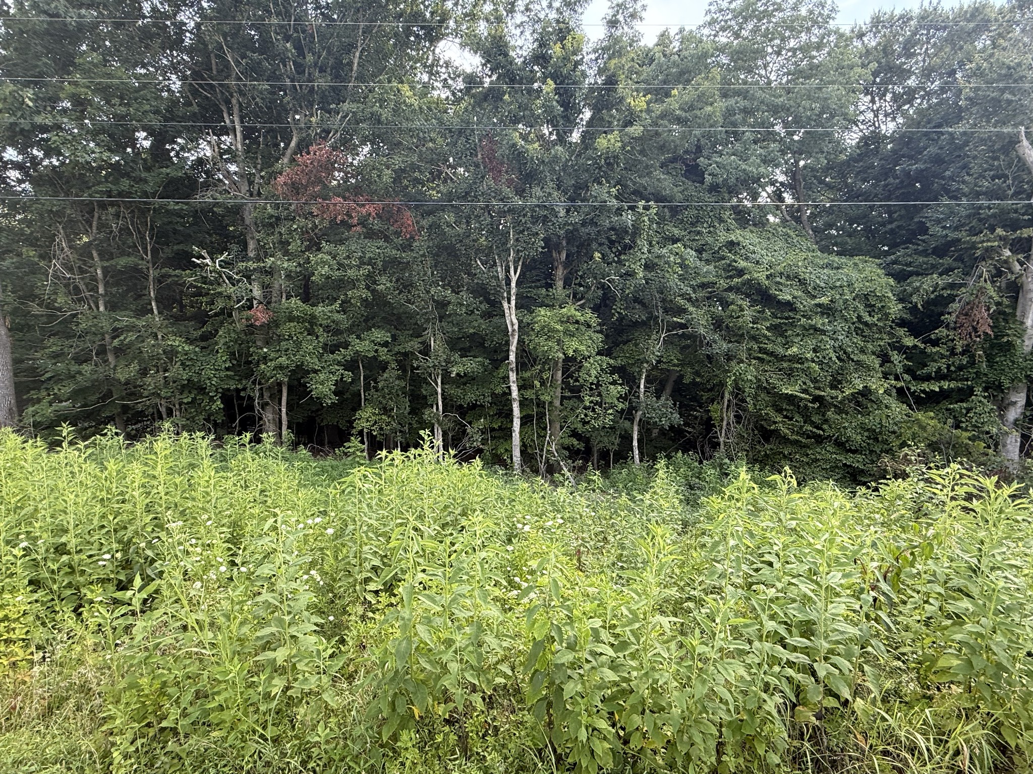 0 Reed Rd Property Photo 4