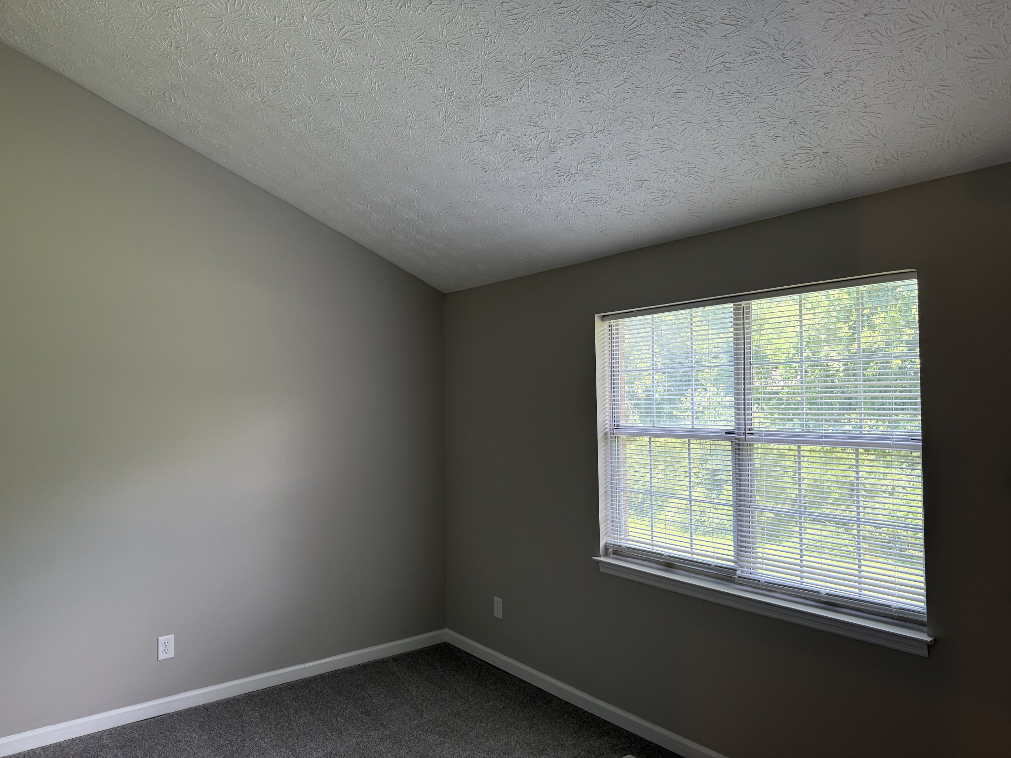185 Thistle Ln Property Photo 9