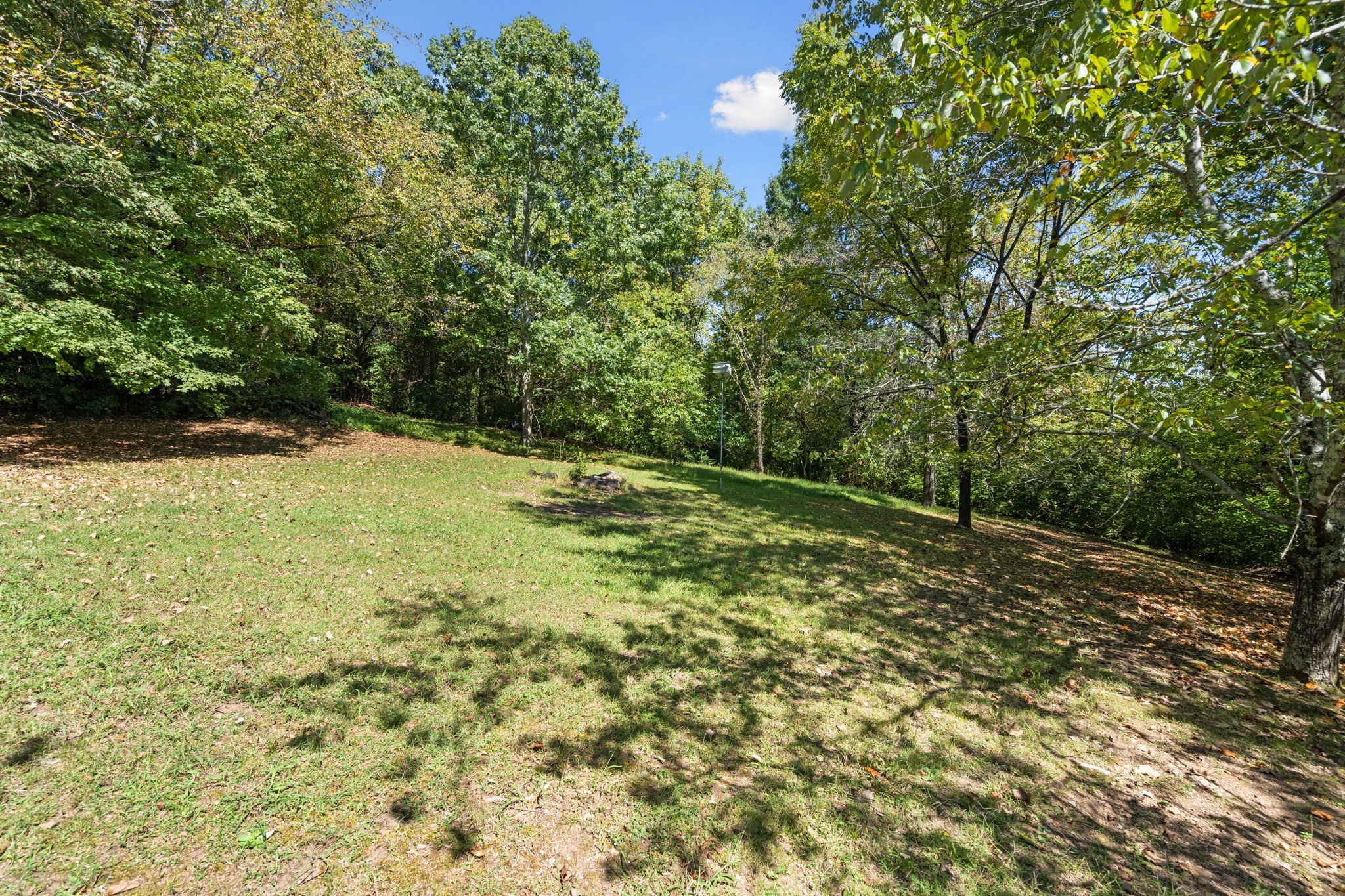 1440 Lewisburg Pike Property Photo 46