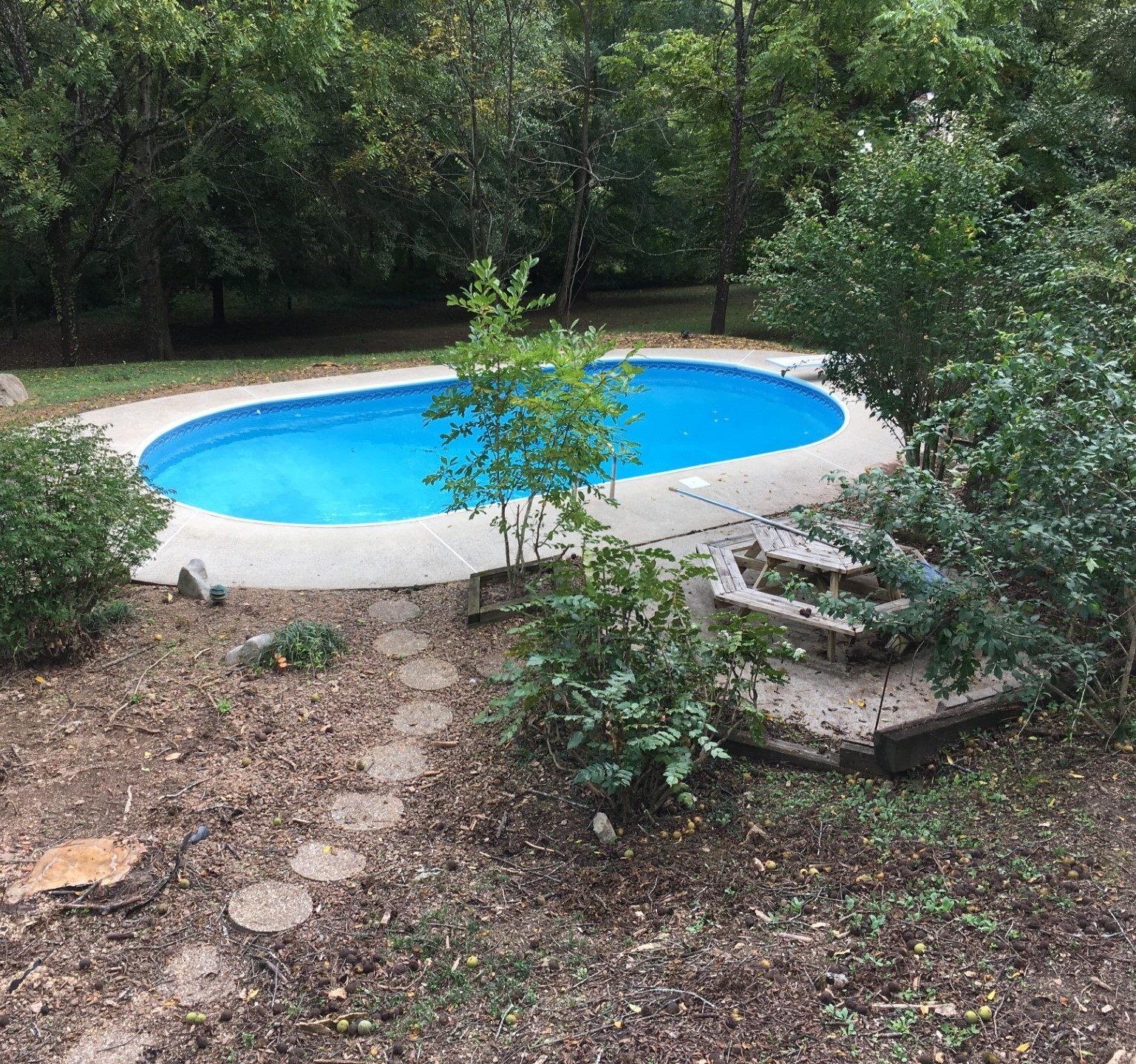 1440 Lewisburg Pike Property Photo 50